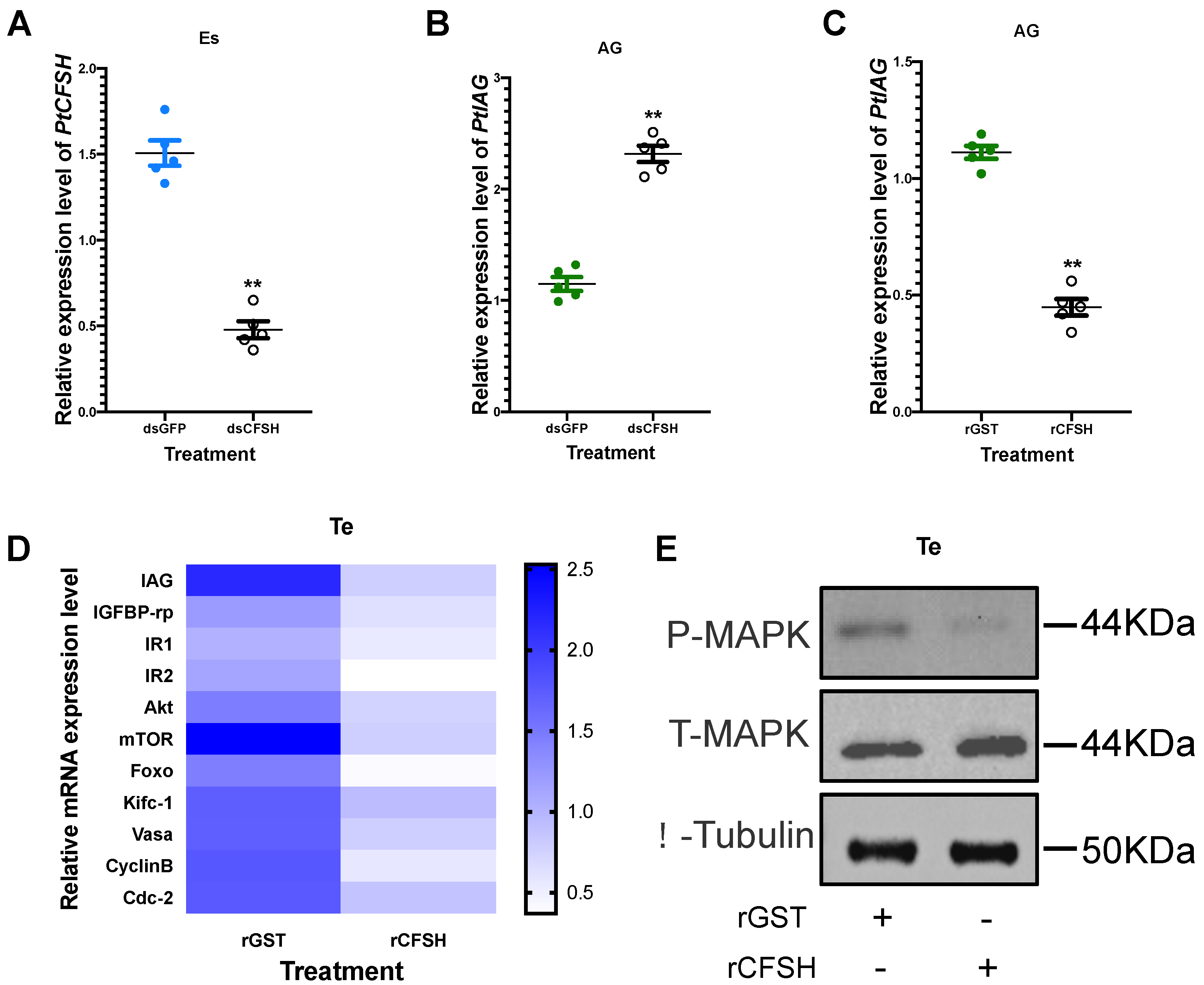 Animals 13 00690 g005