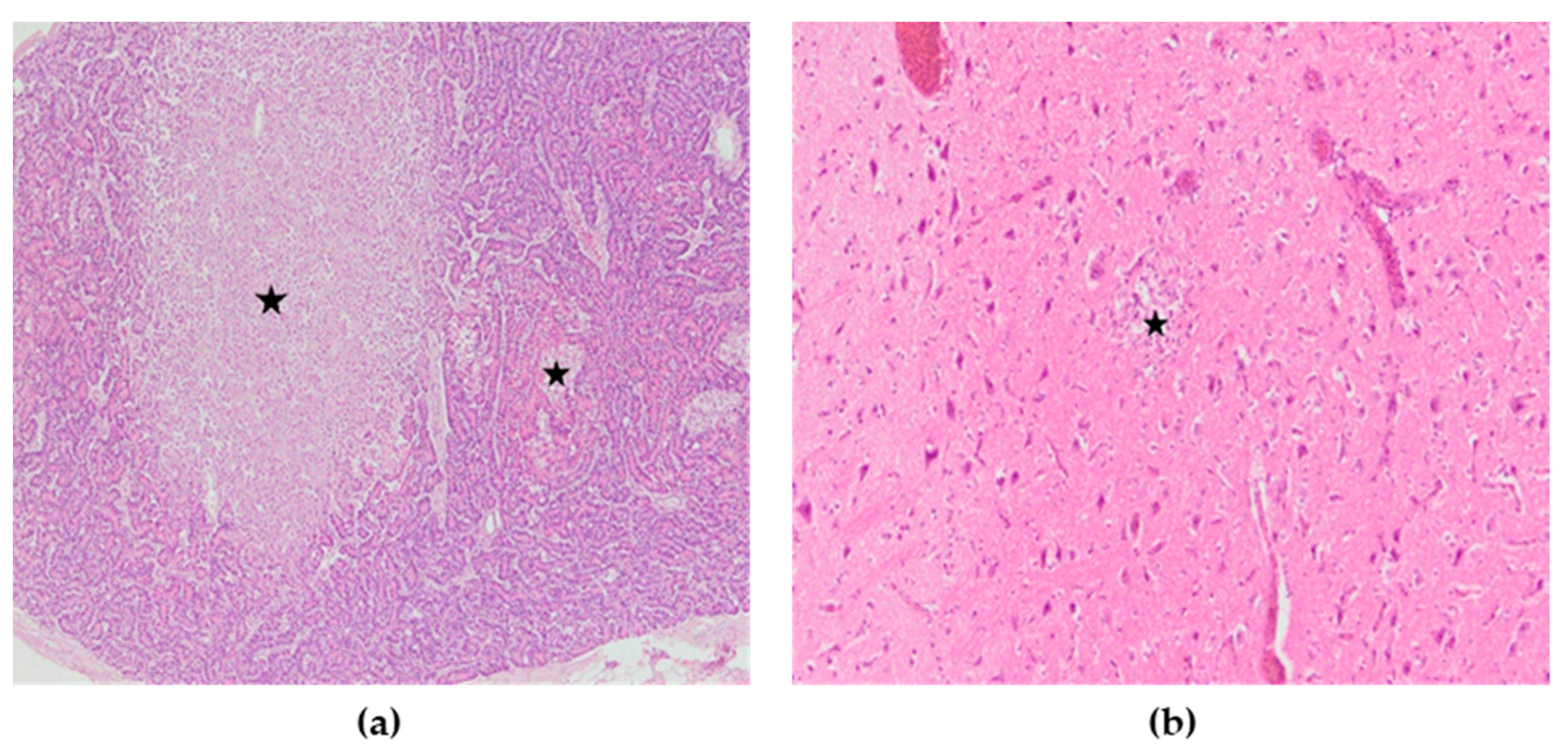 Animals 13 00700 g007