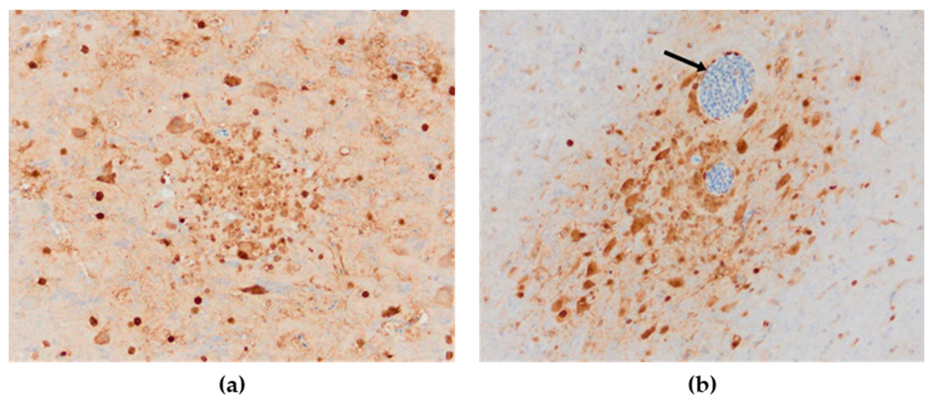 Animals 13 00700 g008