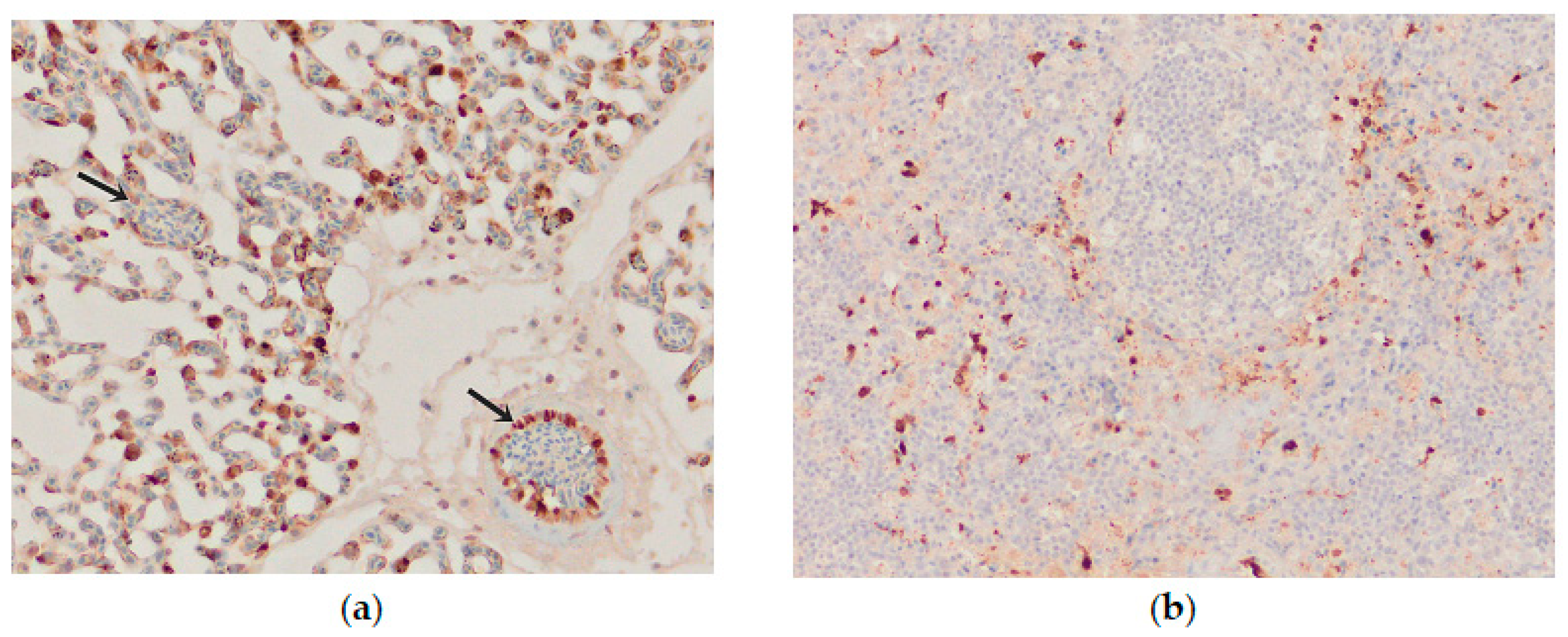 Animals 13 00700 g009