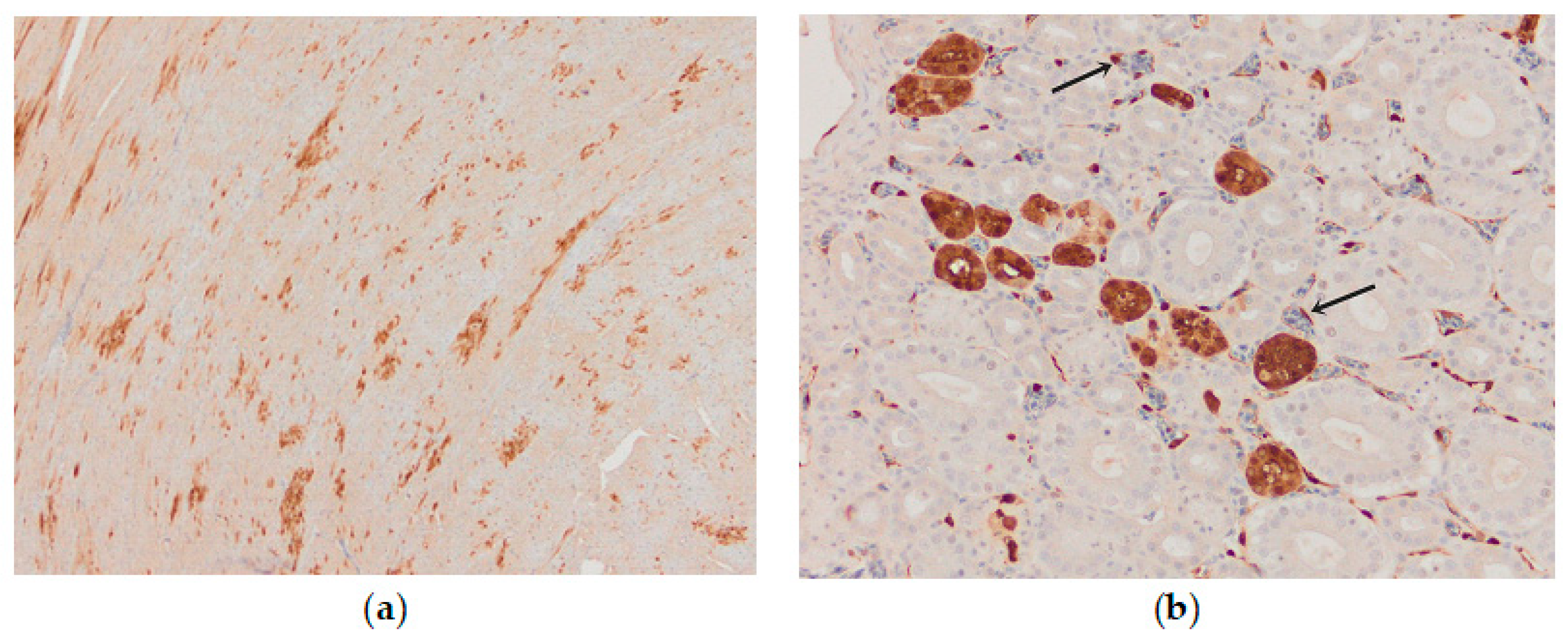 Animals 13 00700 g010