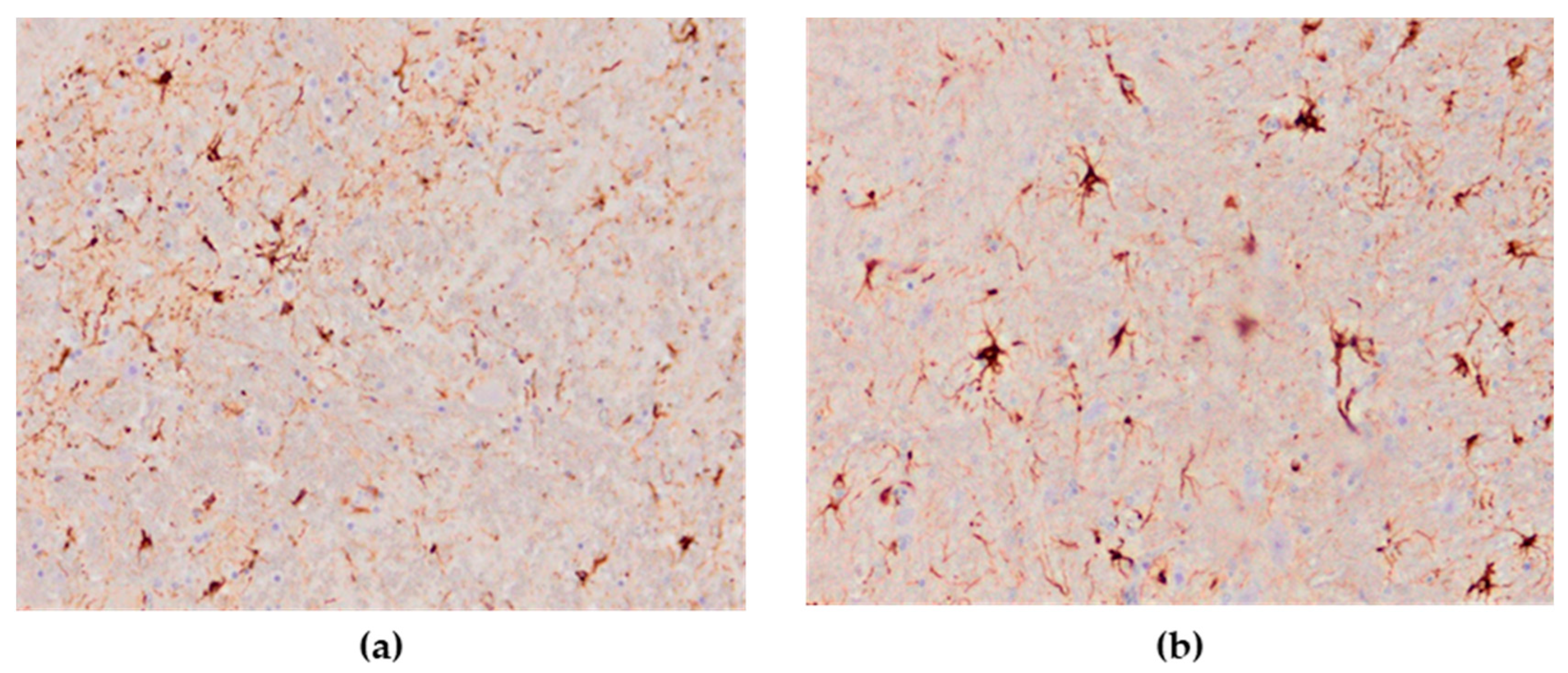 Animals 13 00700 g011