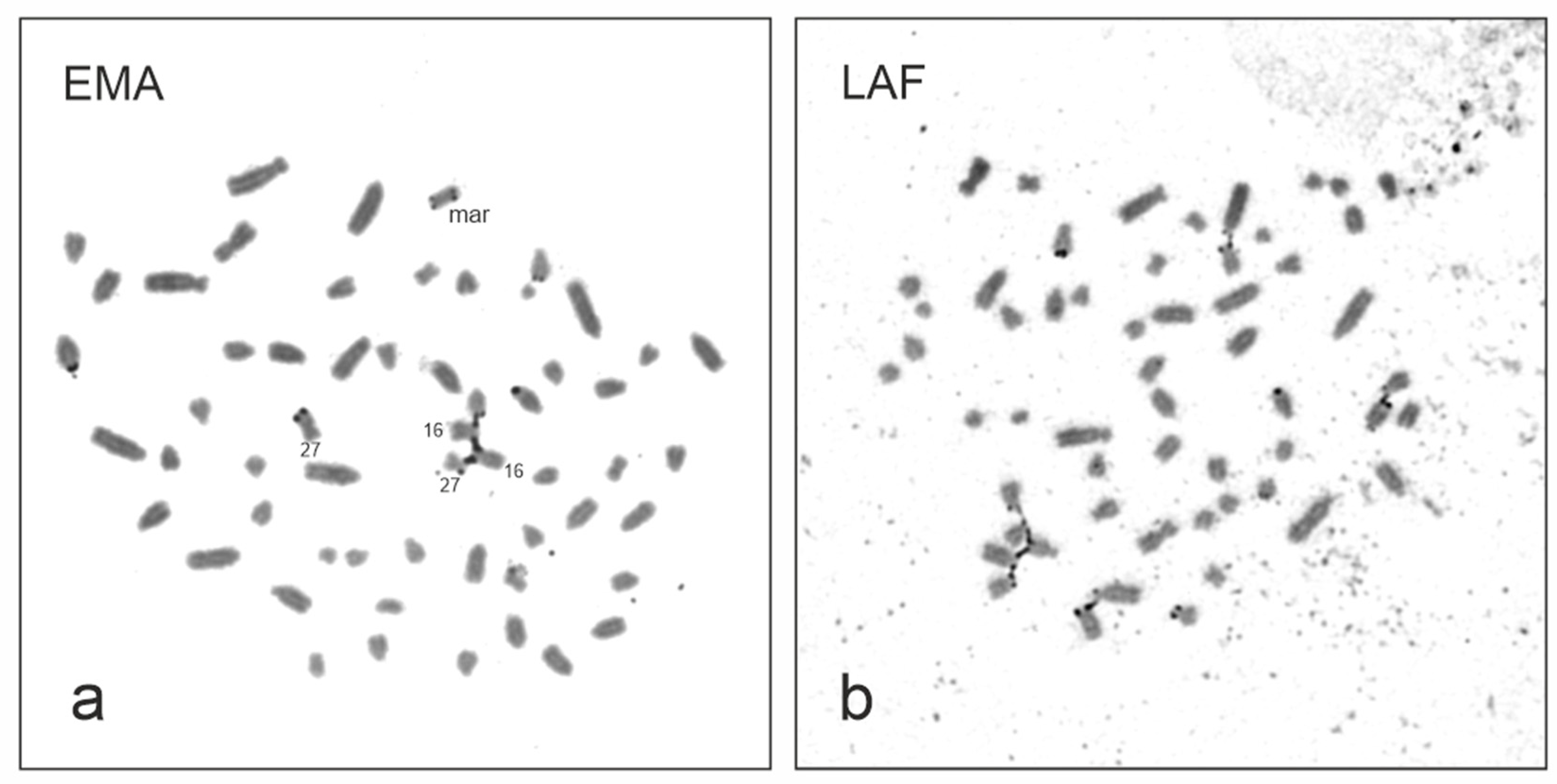 Animals 13 00701 g004