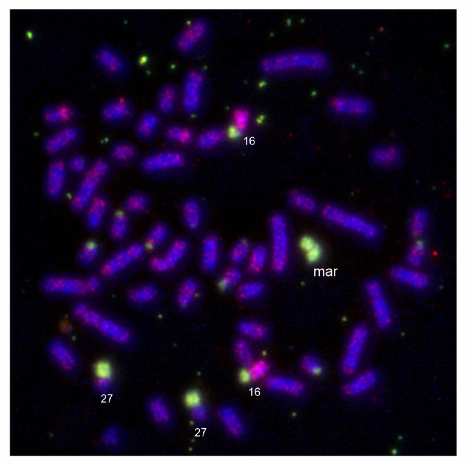 Animals 13 00701 g006