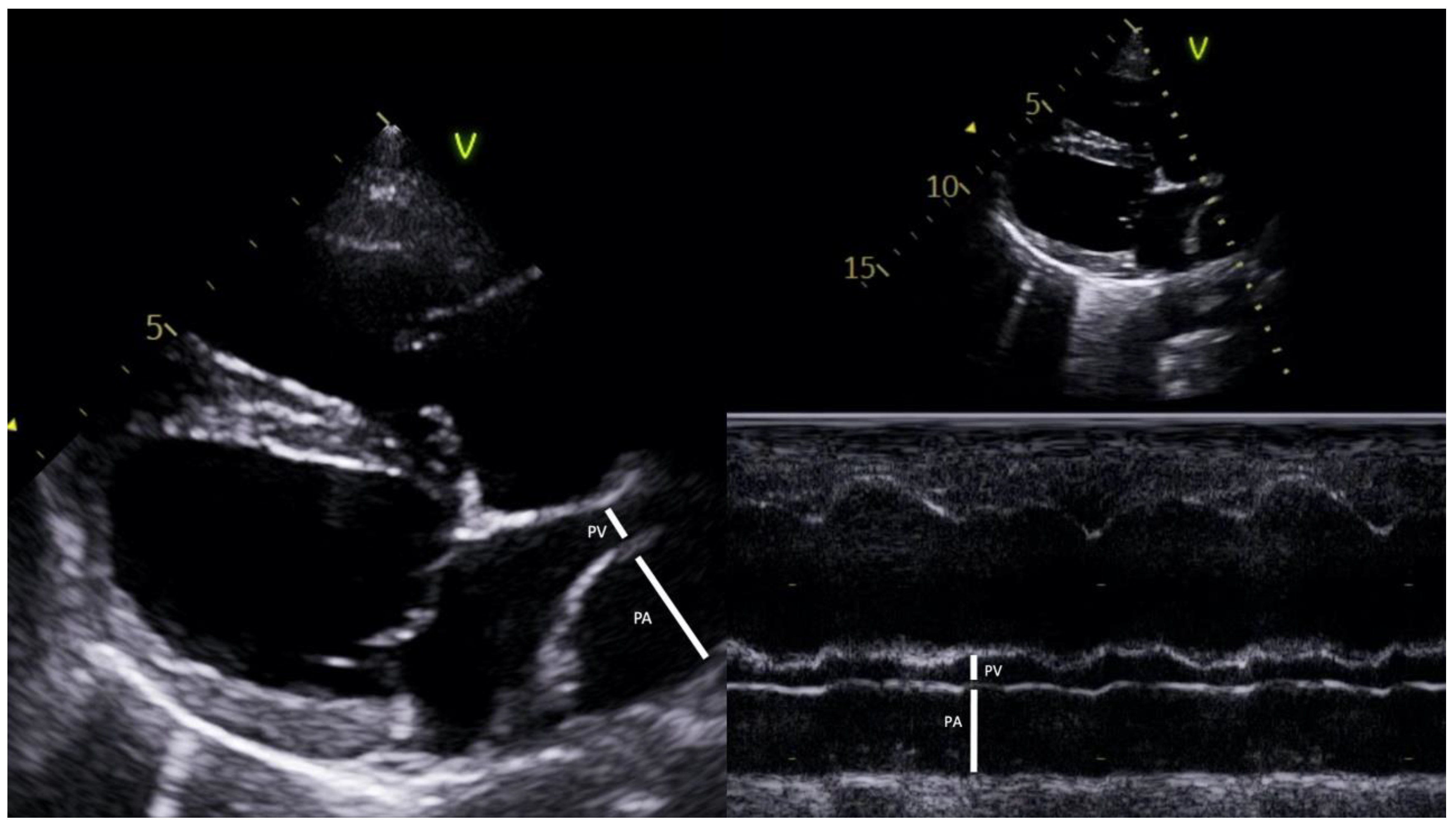 Animals 13 00703 g001