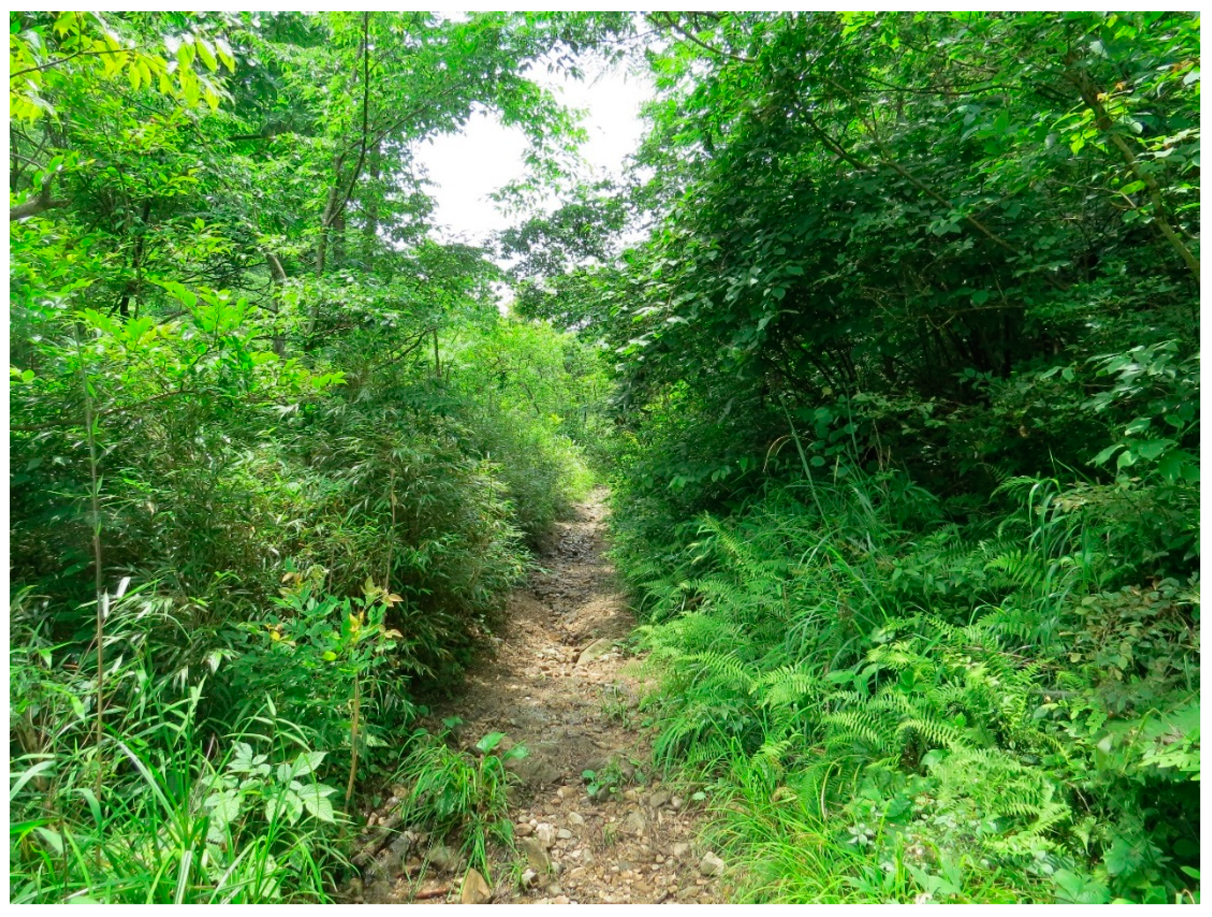 Animals 13 00708 g005