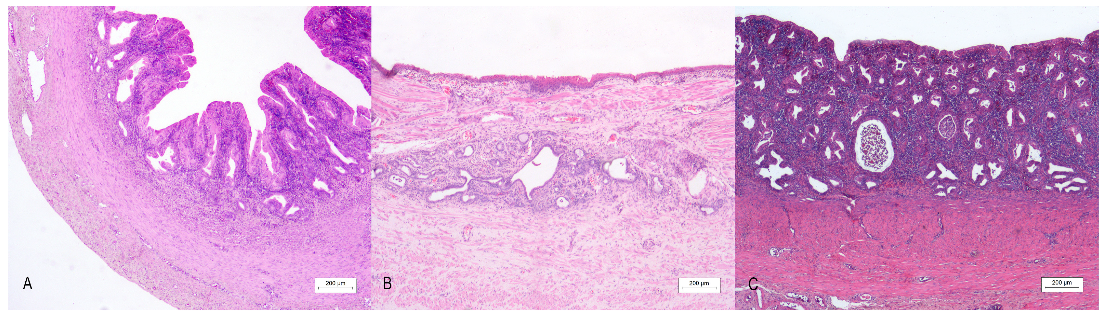 Animals 13 00710 g003 Animals 13 00710 g003