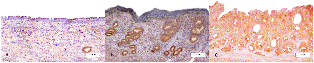 Animals 13 00710 g004 Animals 13 00710 g004