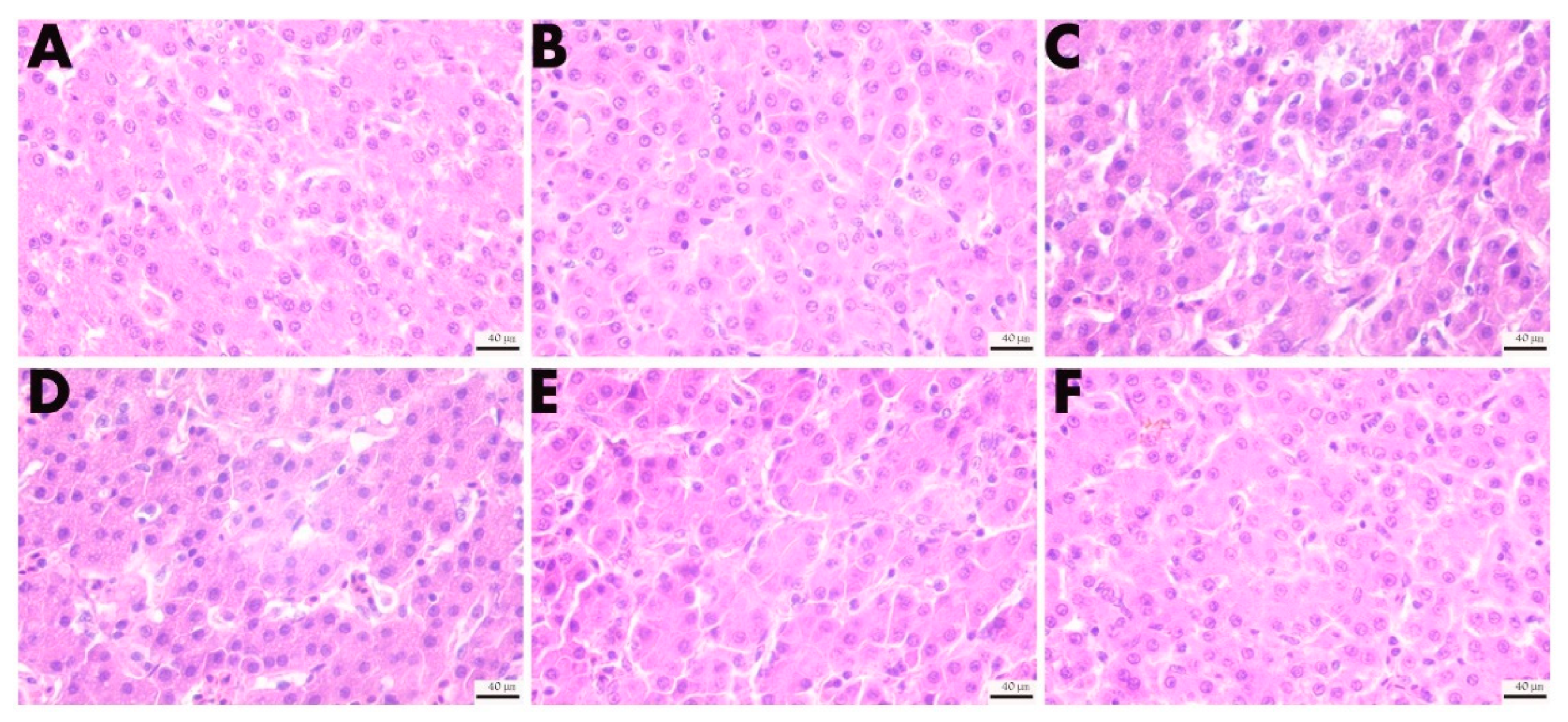 Animals 13 00711 g008