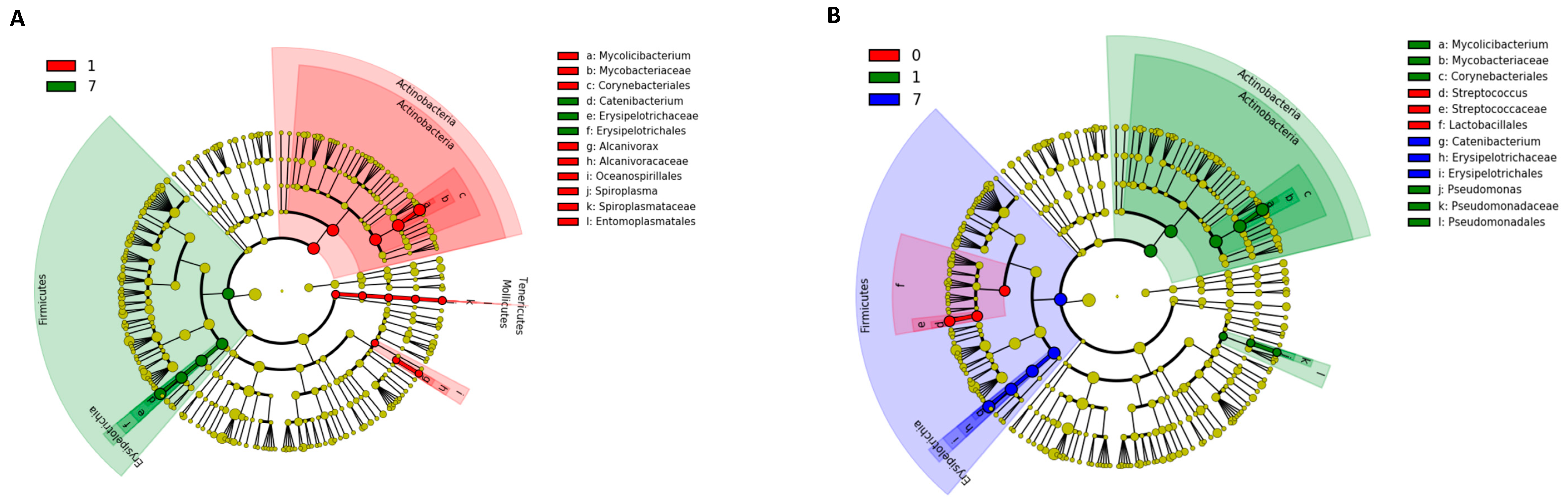 Animals 13 00713 g006 Animals 13 00713 g006