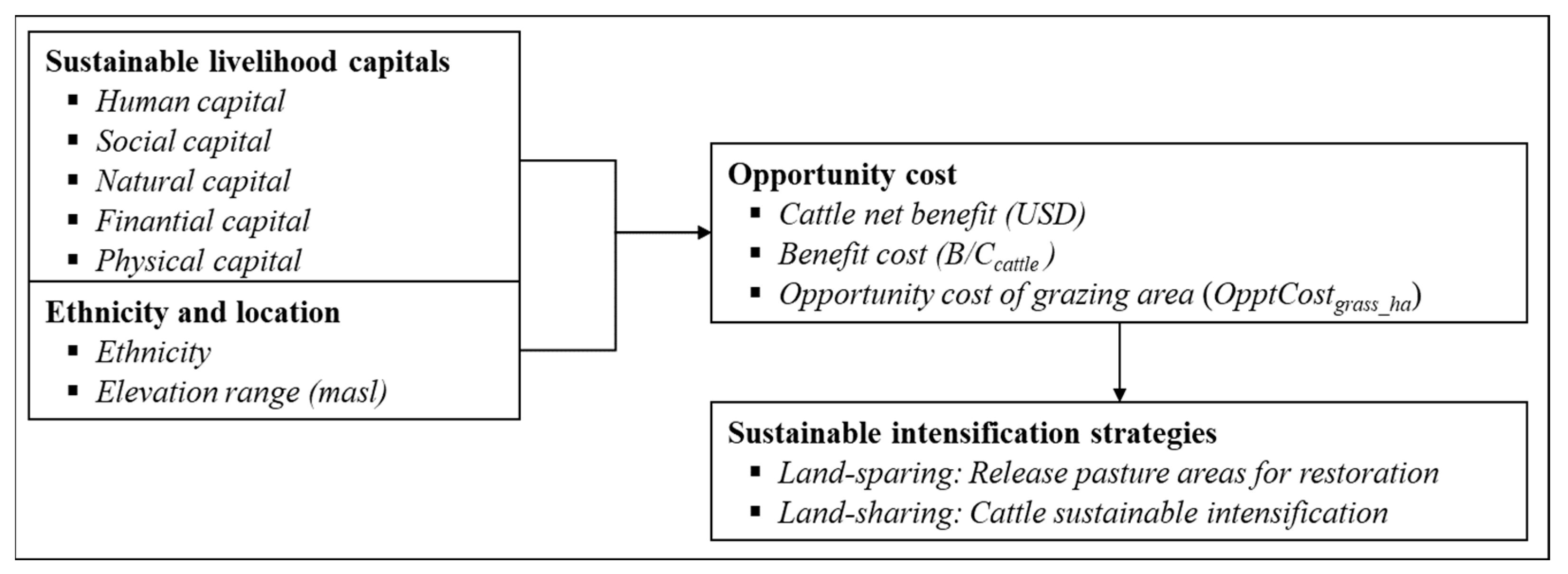 Animals 13 00714 g001