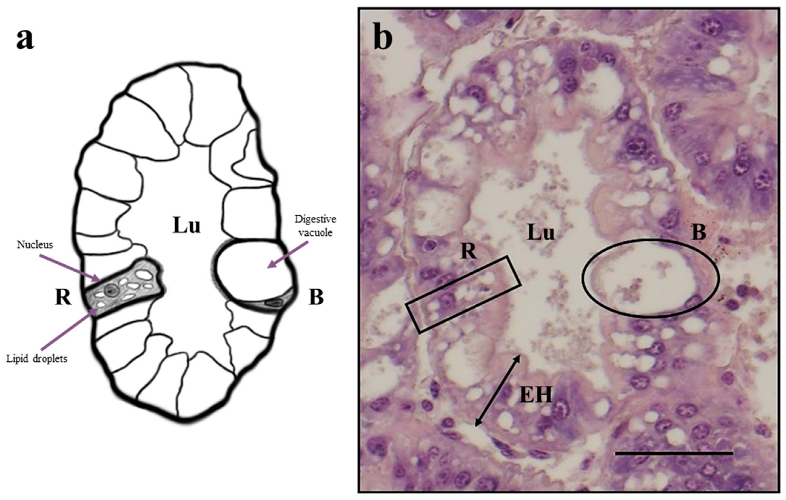 Animals 13 00715 g001