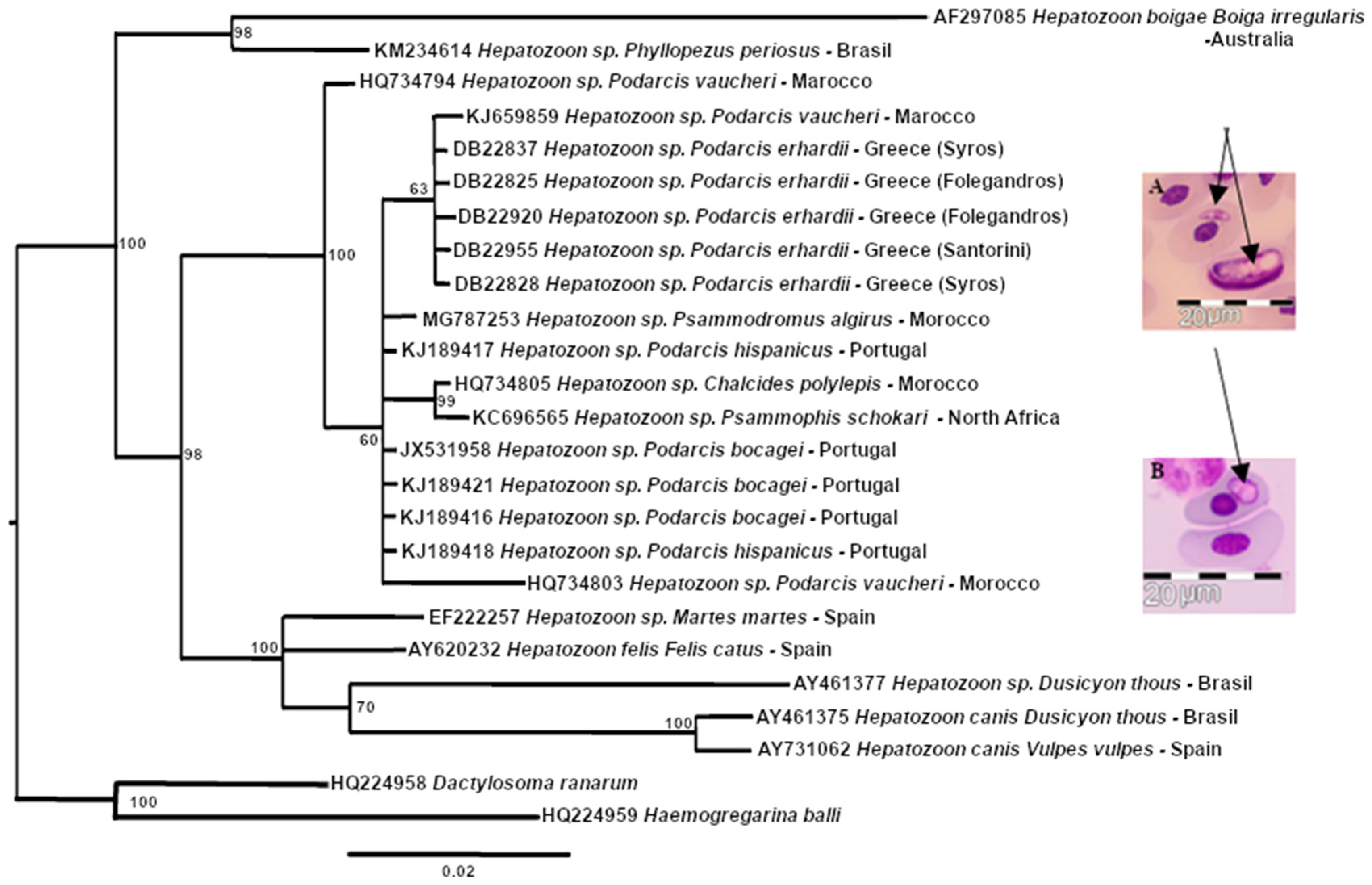 Animals 13 00723 g003
