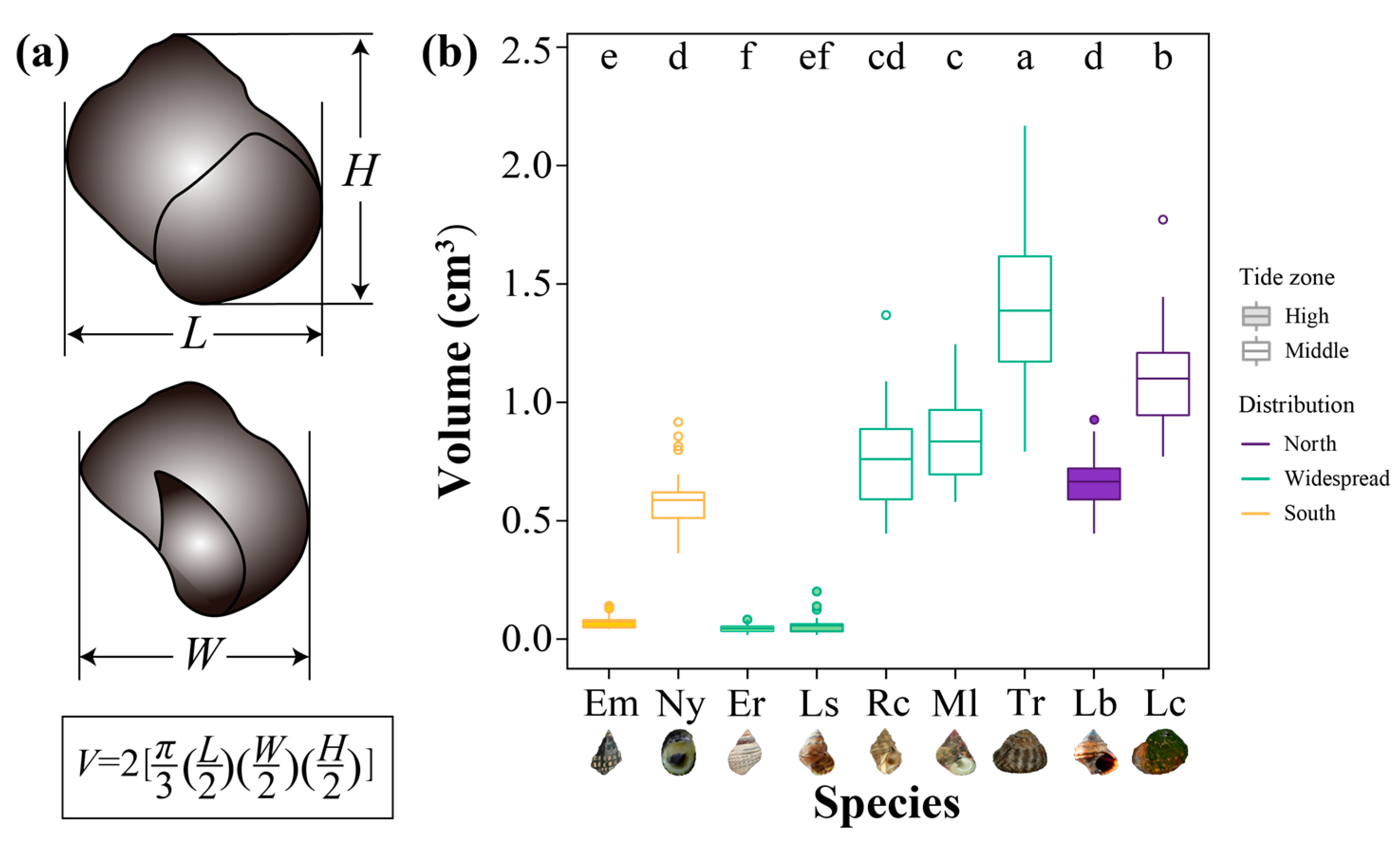 Animals 13 00724 g002