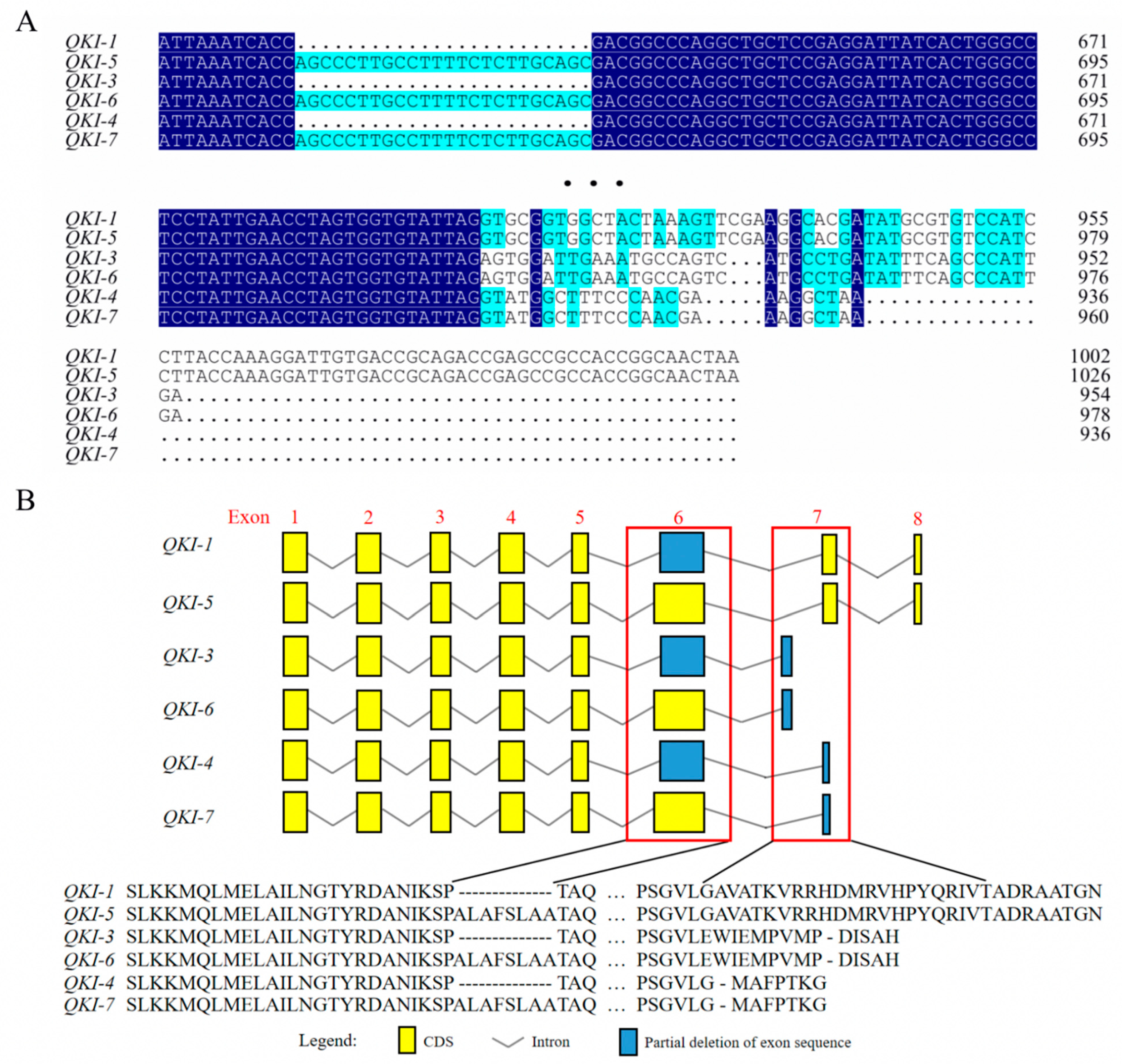 Animals 13 00725 g001