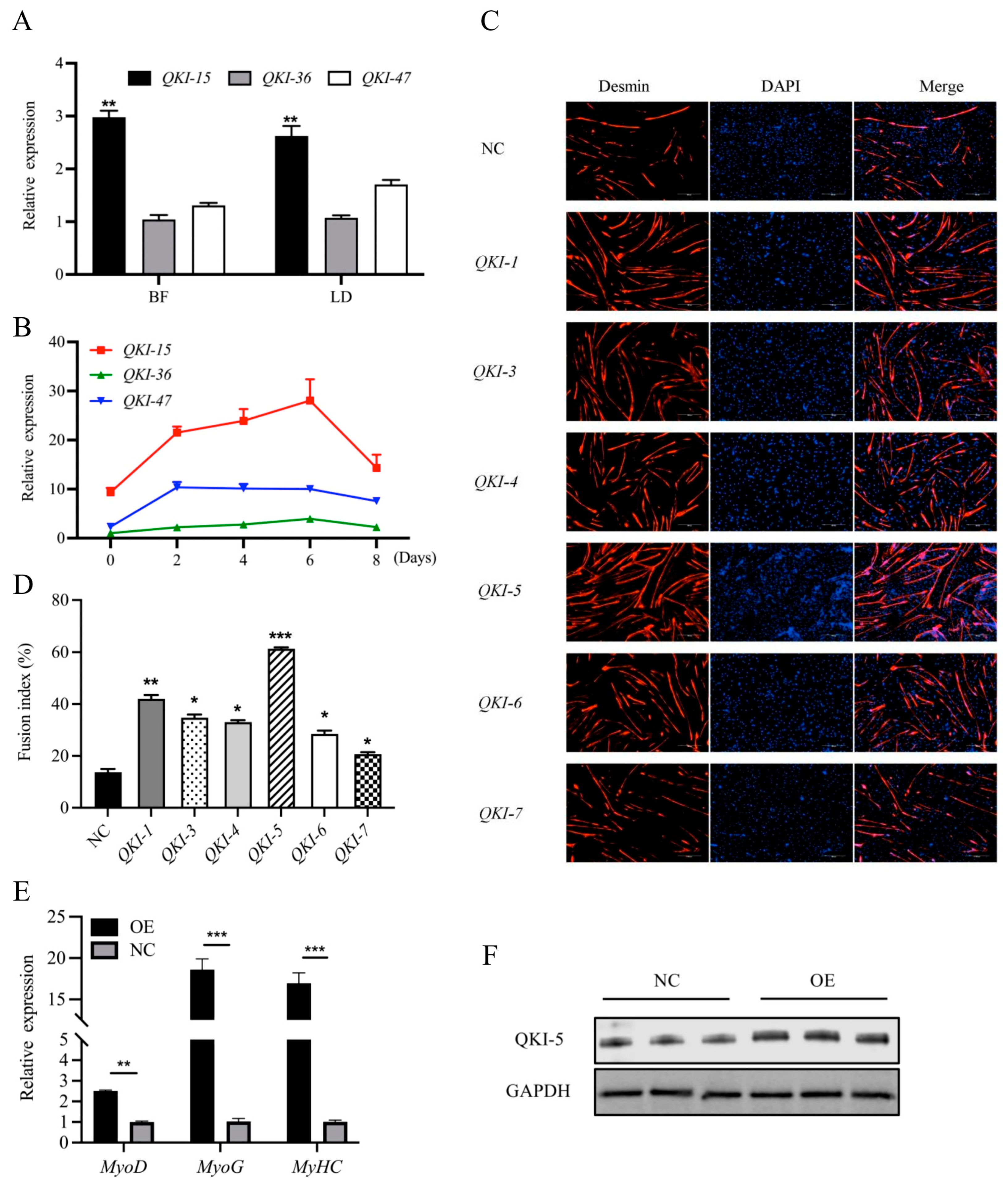Animals 13 00725 g002