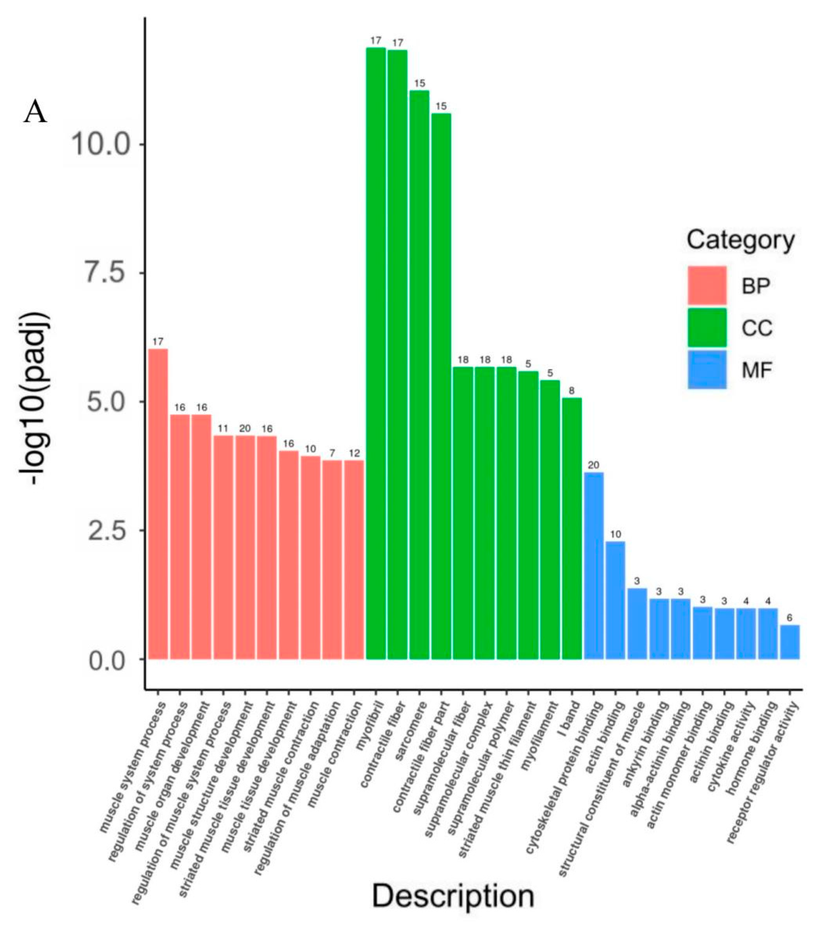 Animals 13 00725 g004a