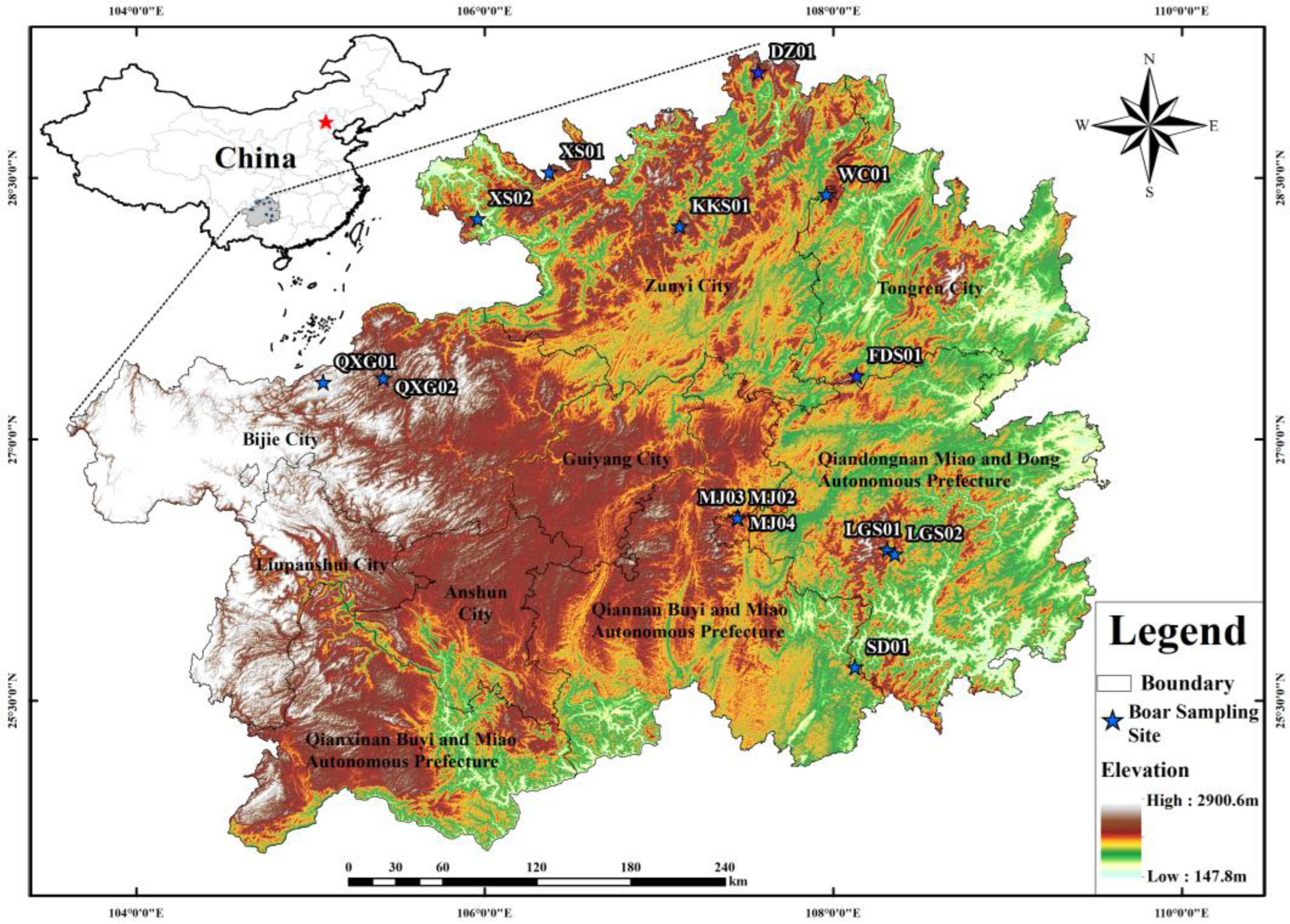 Animals 13 00727 g001