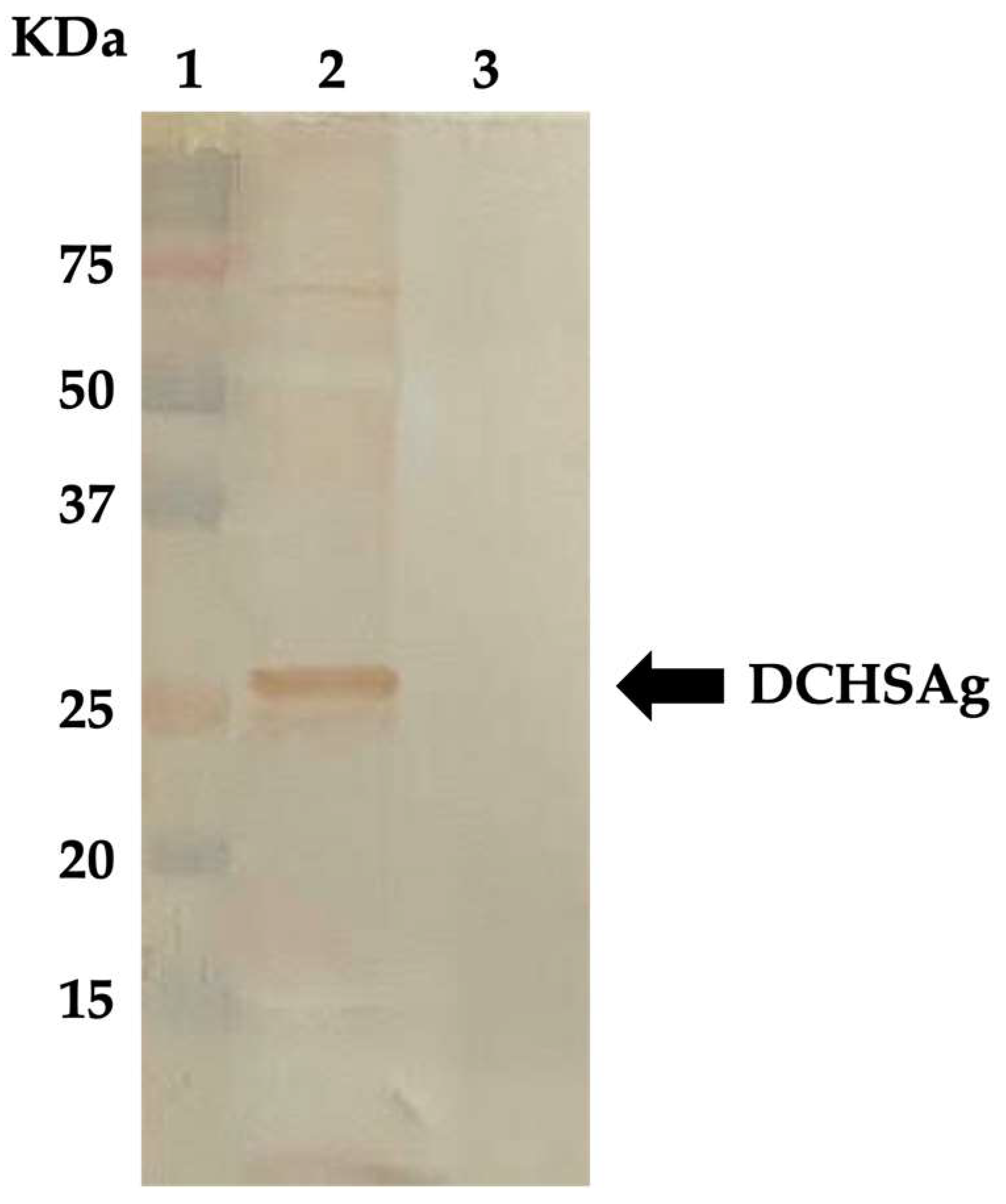 Animals 13 00729 g001