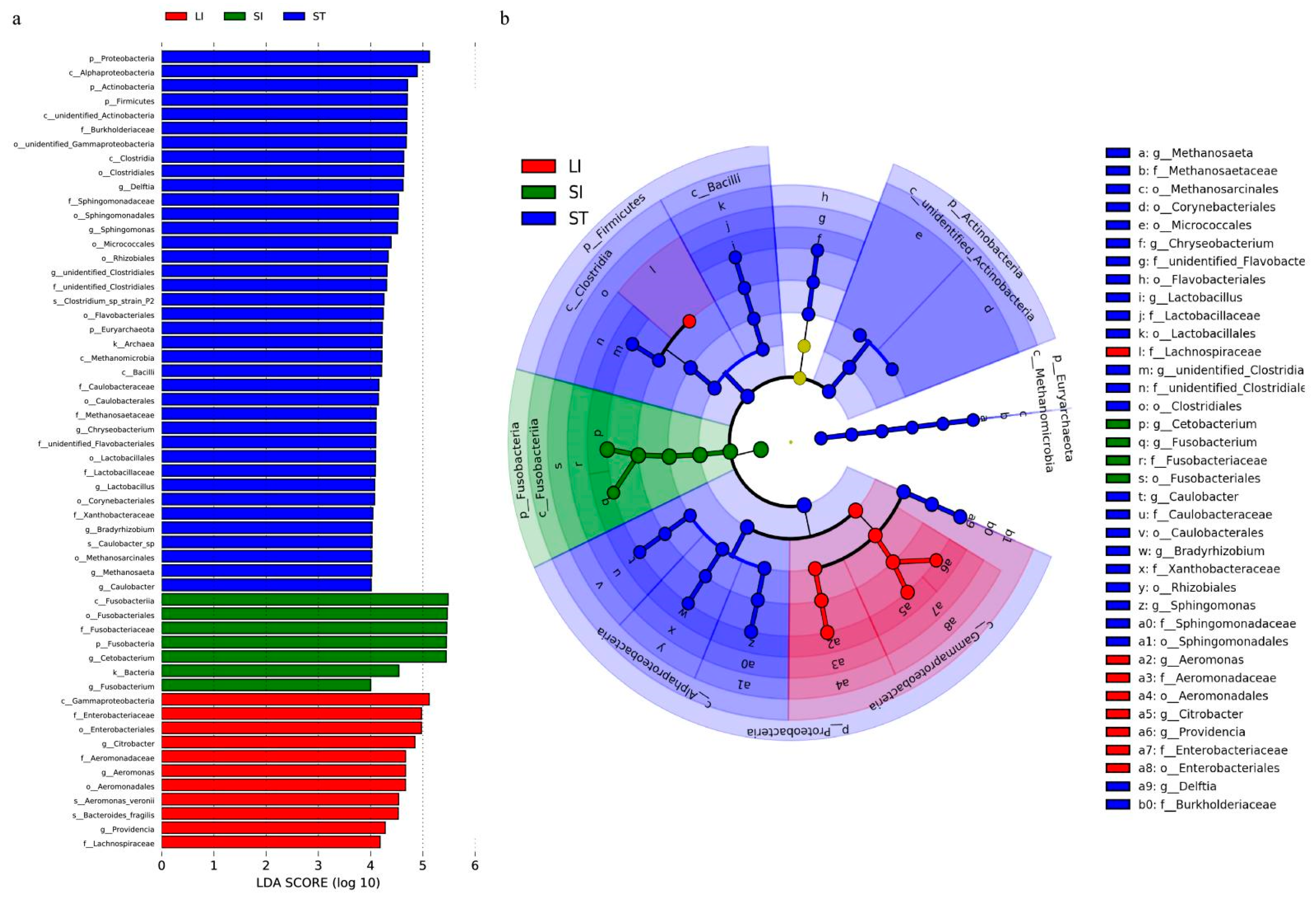 Animals 13 00731 g006