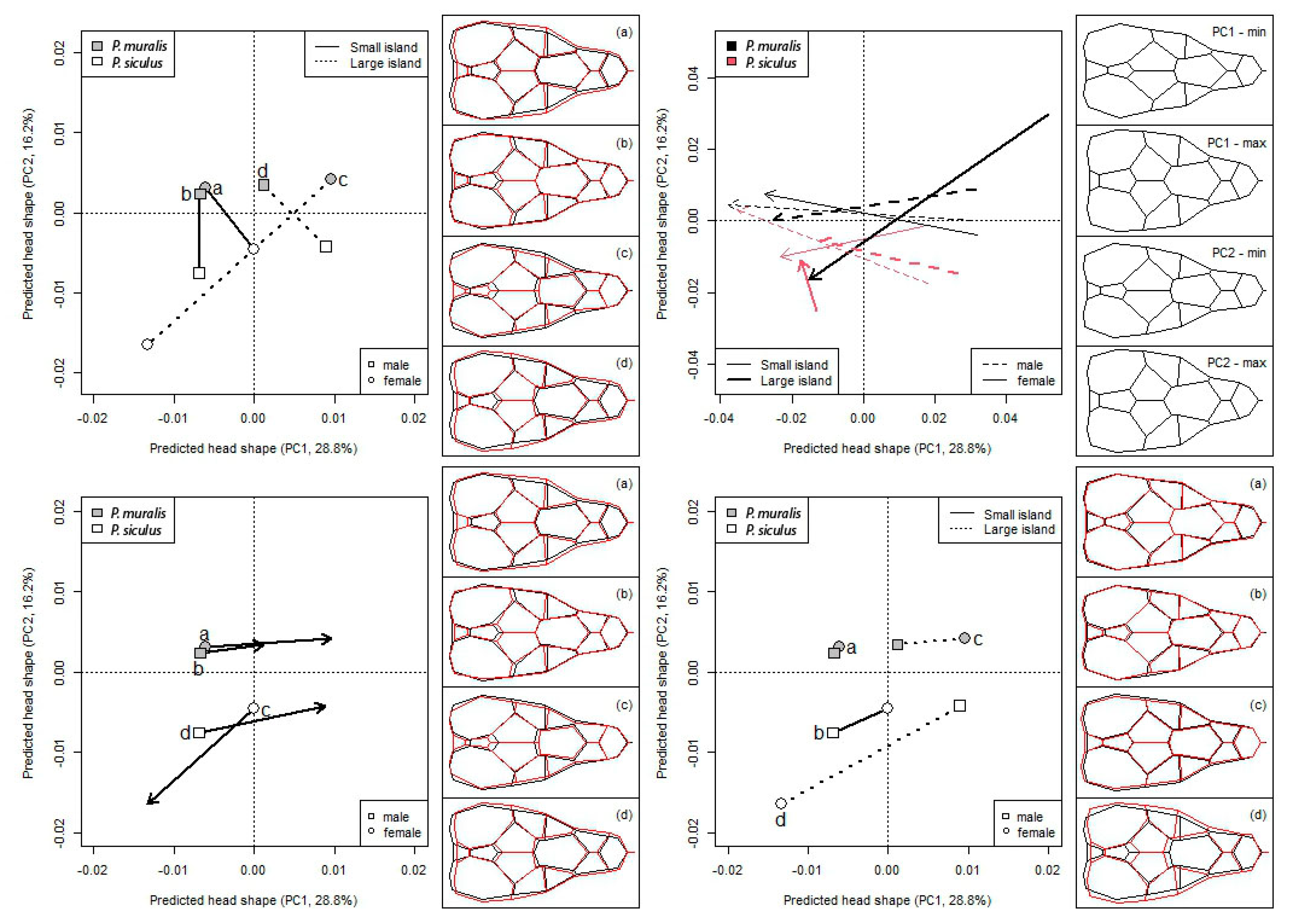 Animals 13 00736 g003