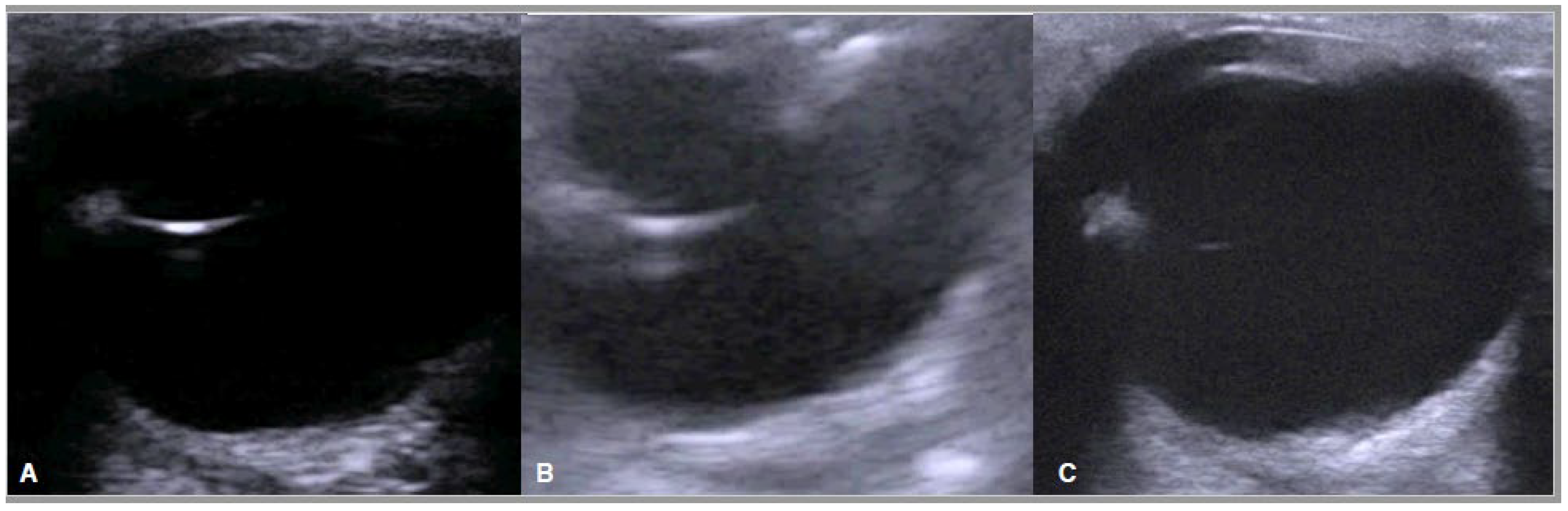 Animals 13 00742 g010