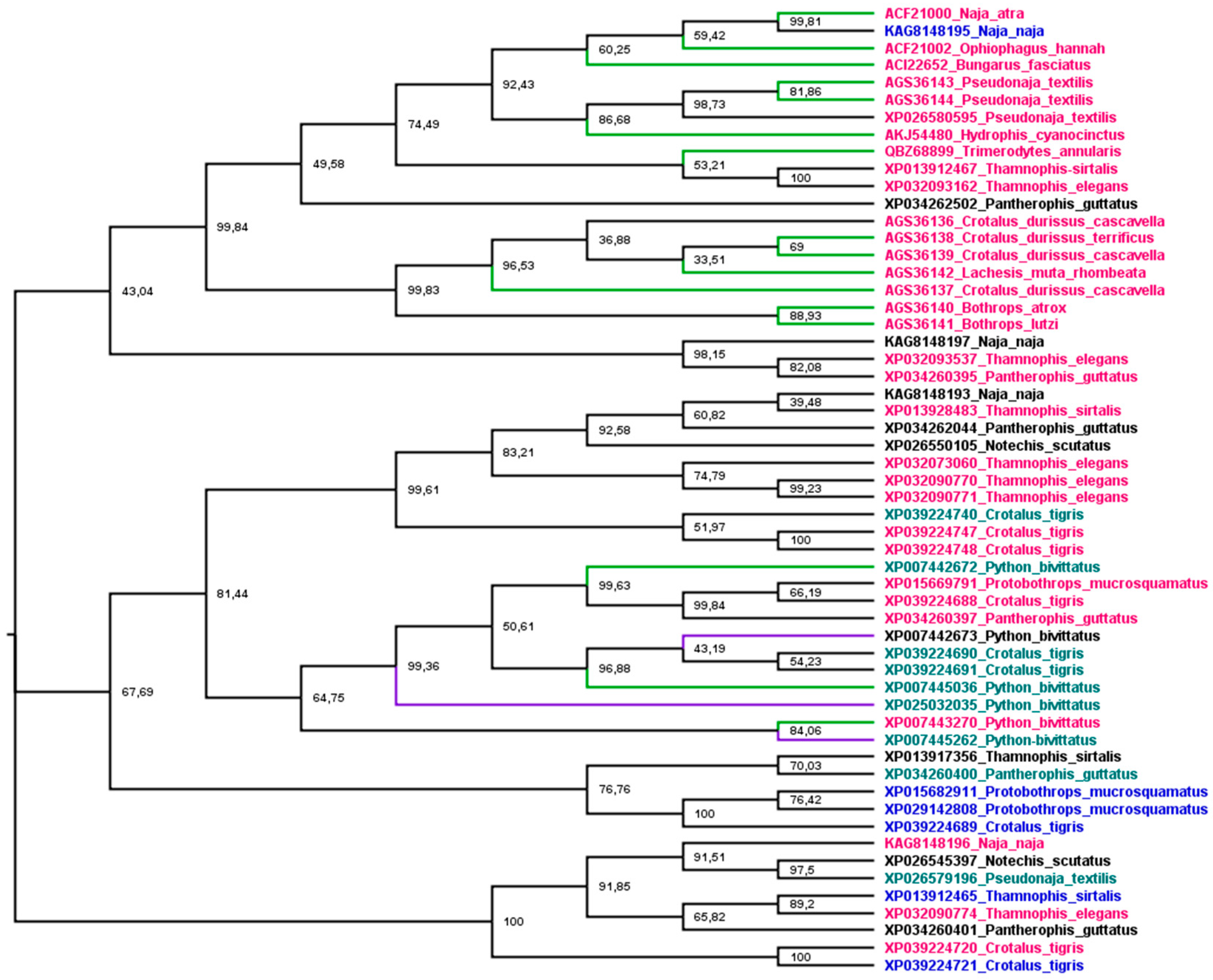 Animals 13 00744 g004 Animals 13 00744 g004