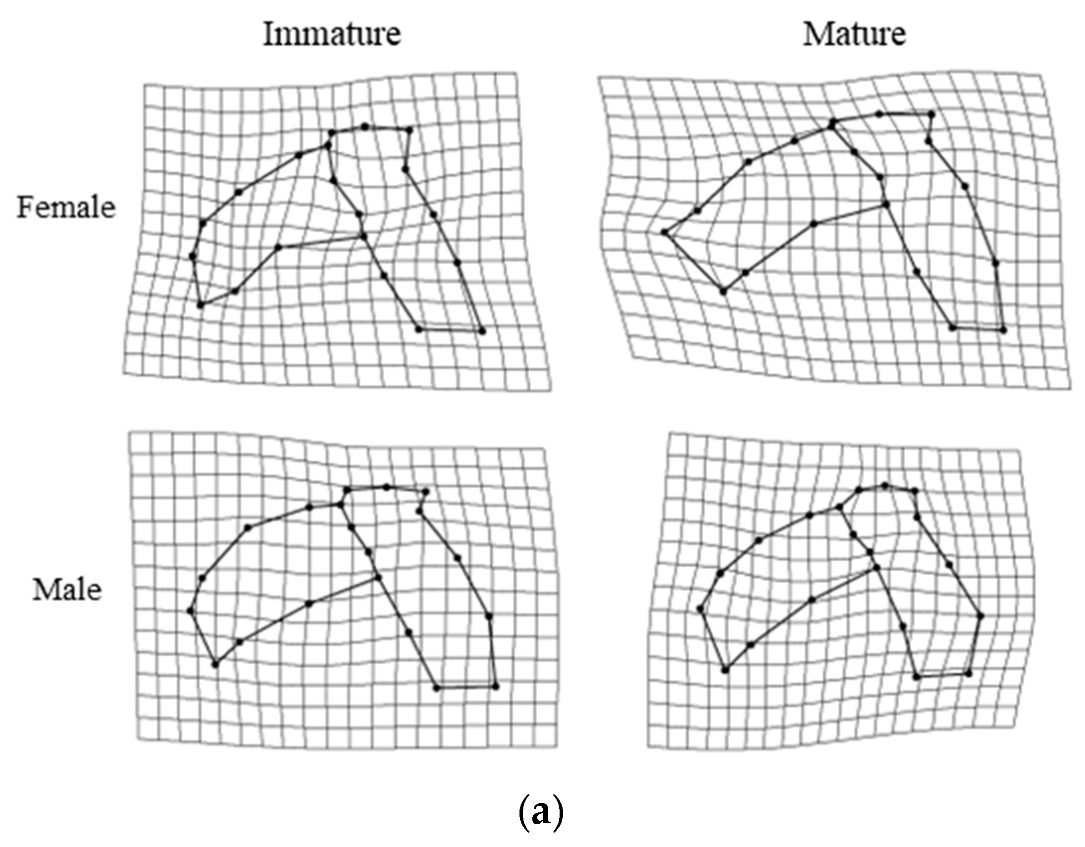 Animals 13 00752 g007a