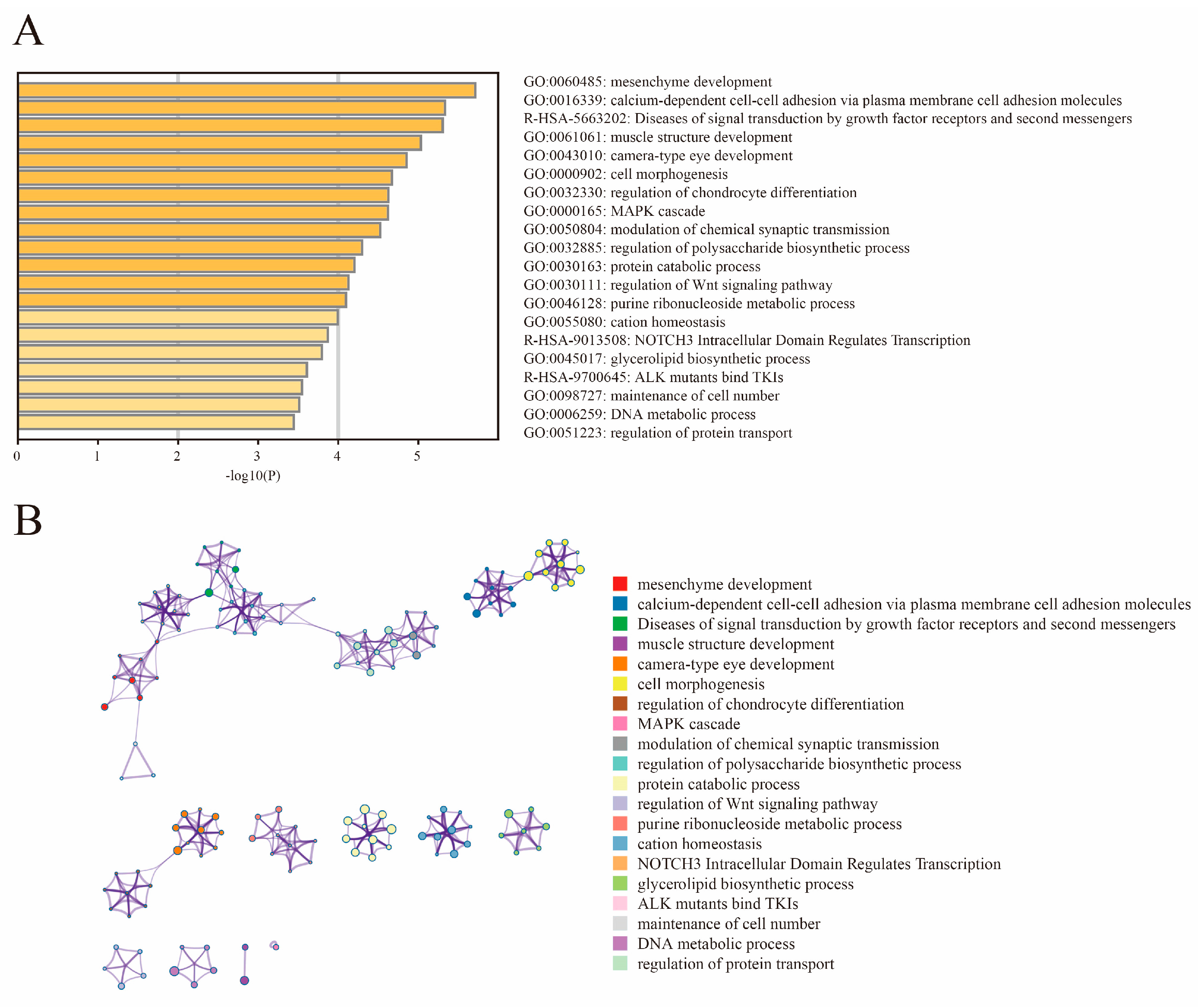Animals 13 00753 g005