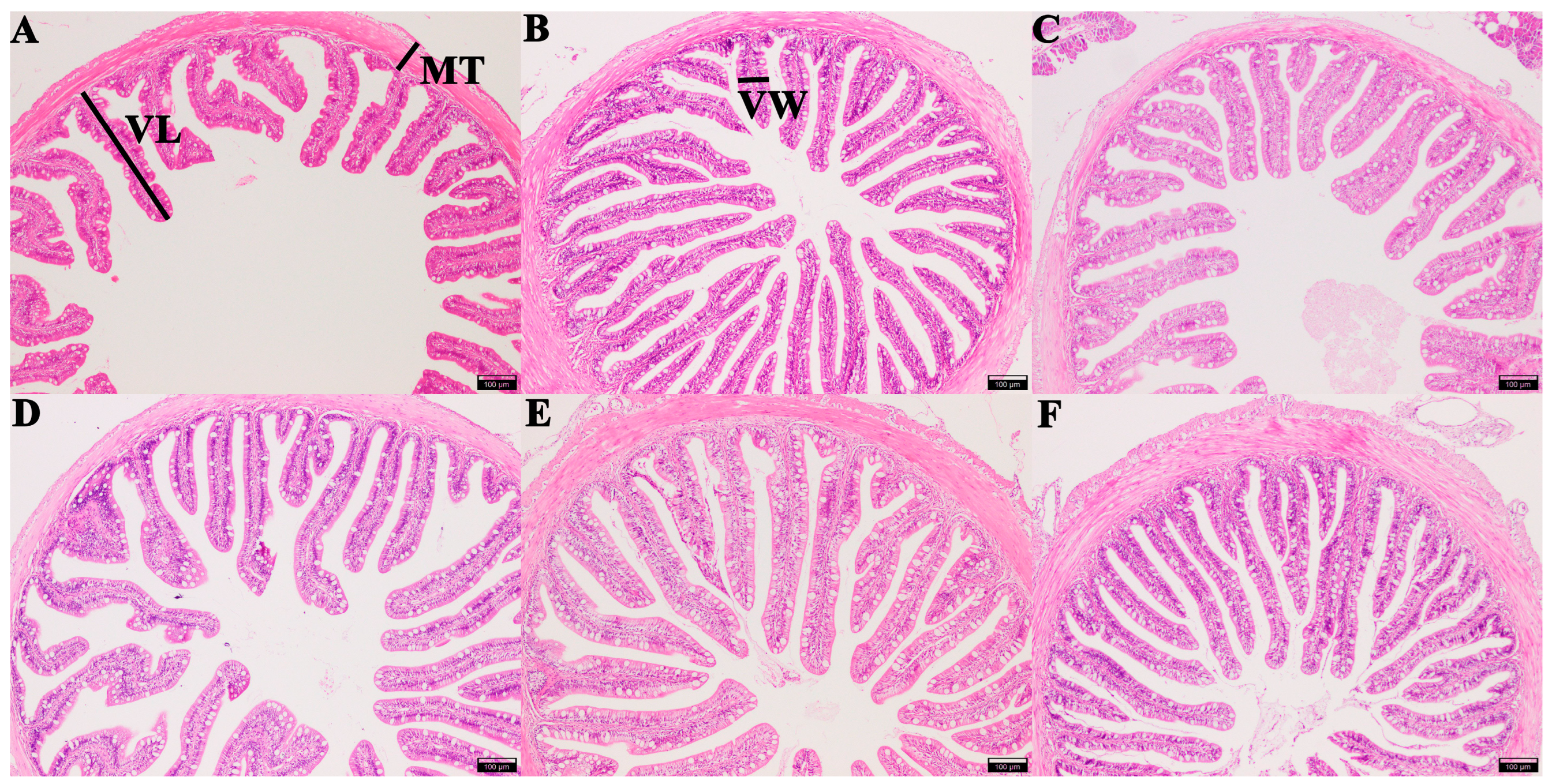 Animals 13 00754 g004