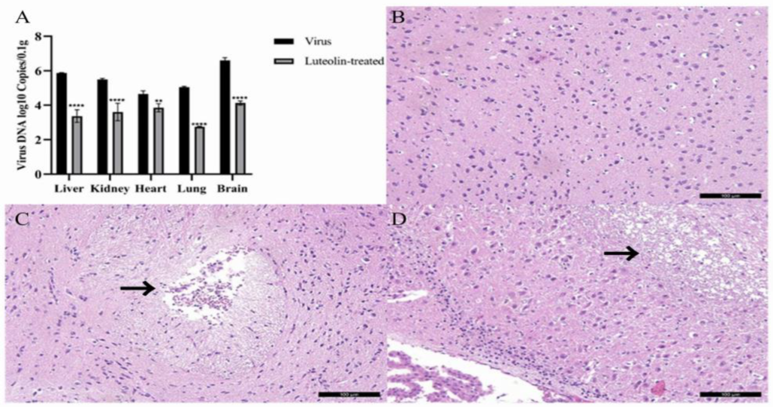 Animals 13 00761 g008