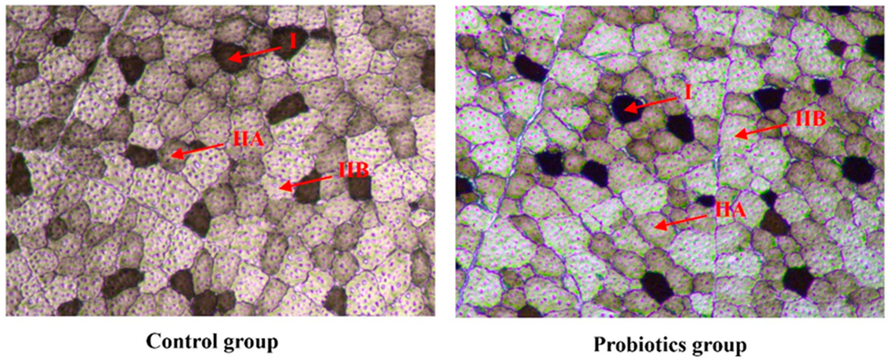 Animals 13 00762 g002