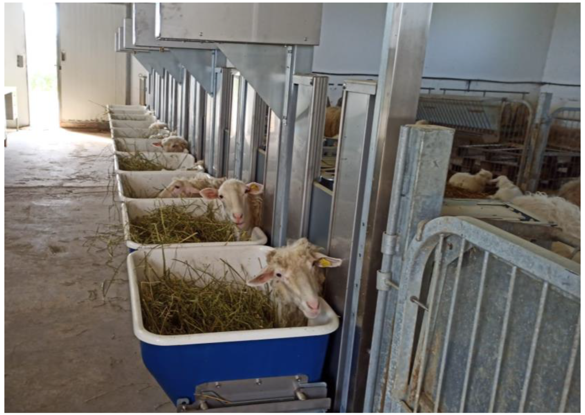 Animals 13 00763 g001