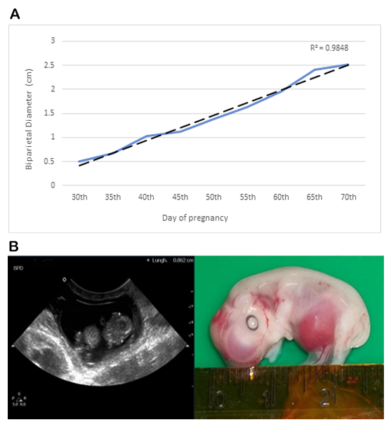 Animals 13 00773 g002