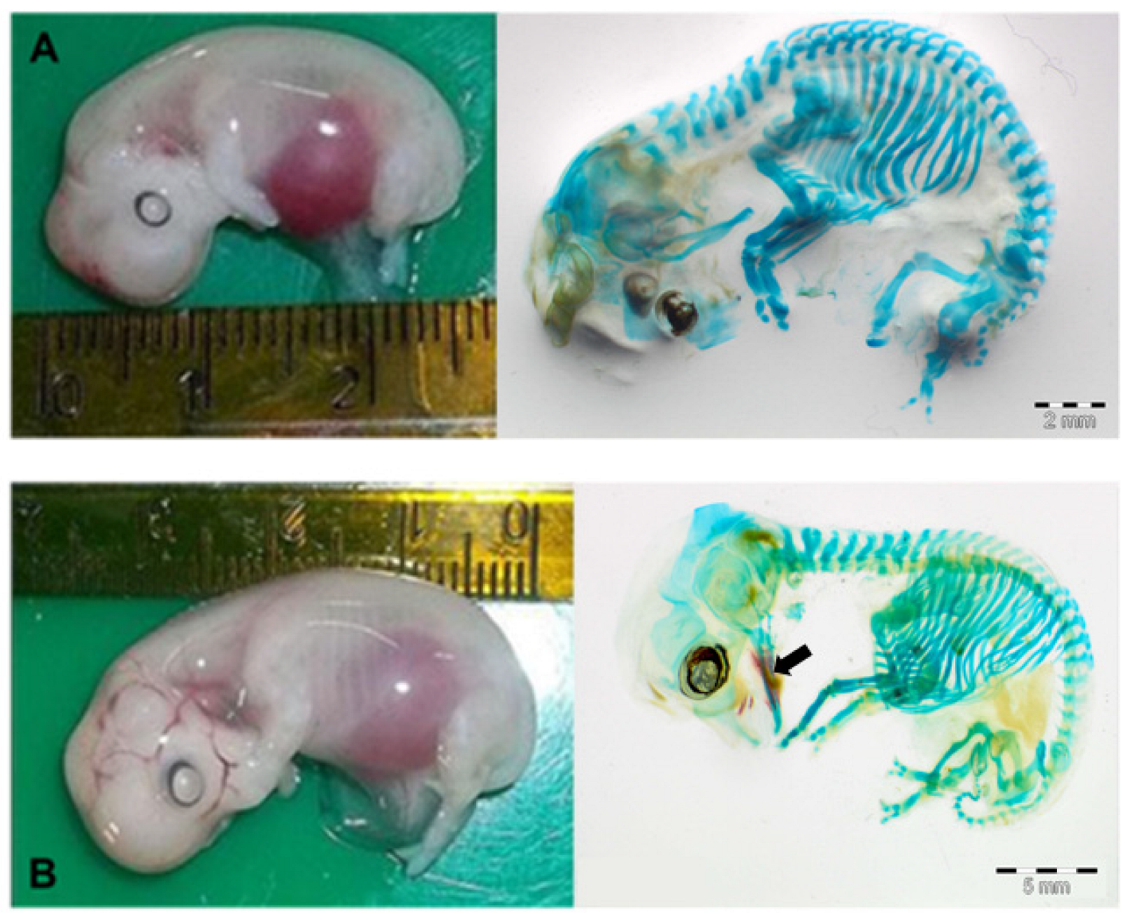 Animals 13 00773 g003