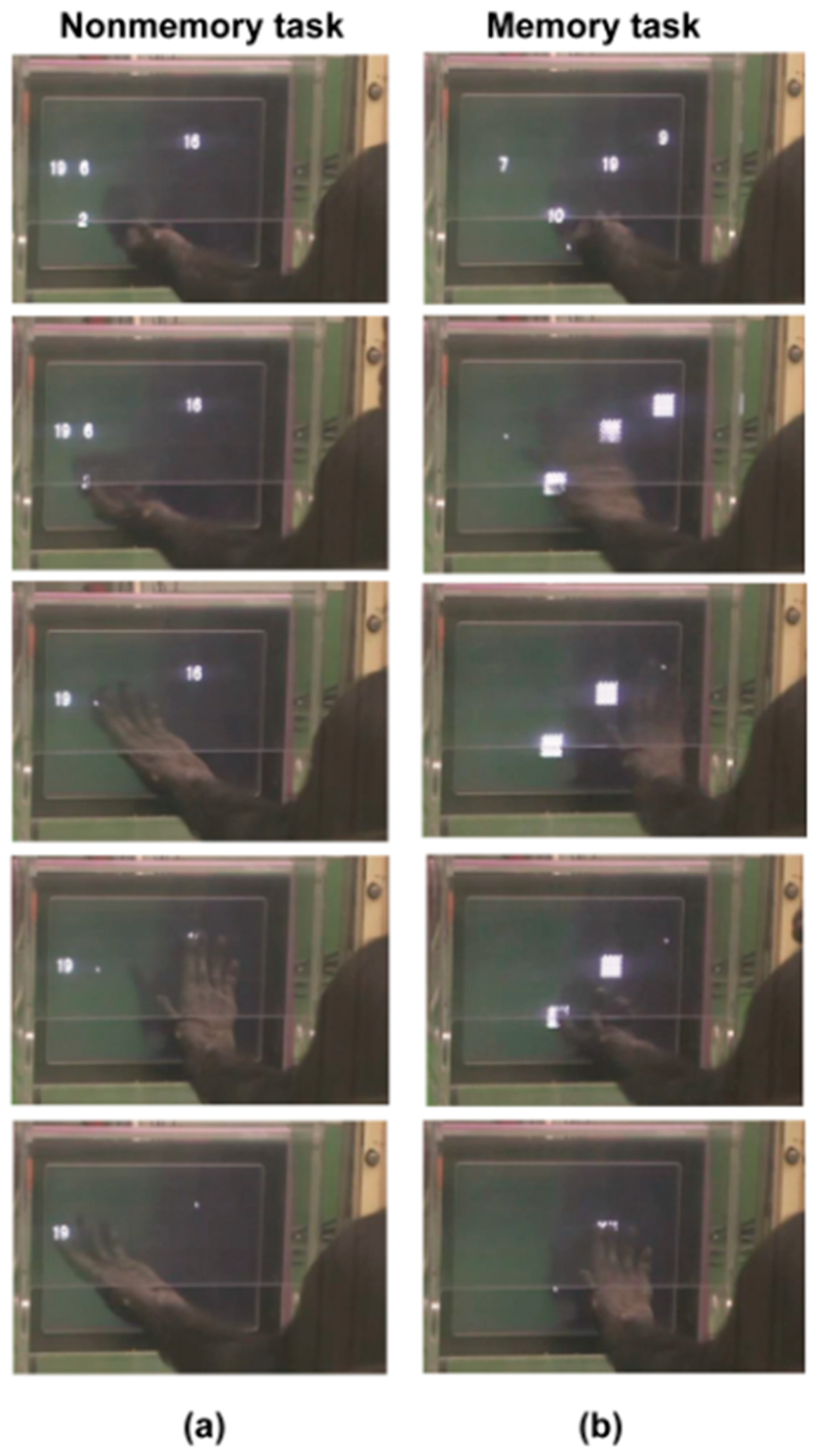 Animals 13 00774 g003