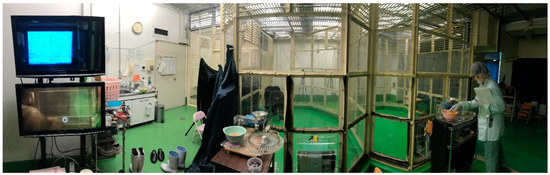 Animals 13 00774 g0a4