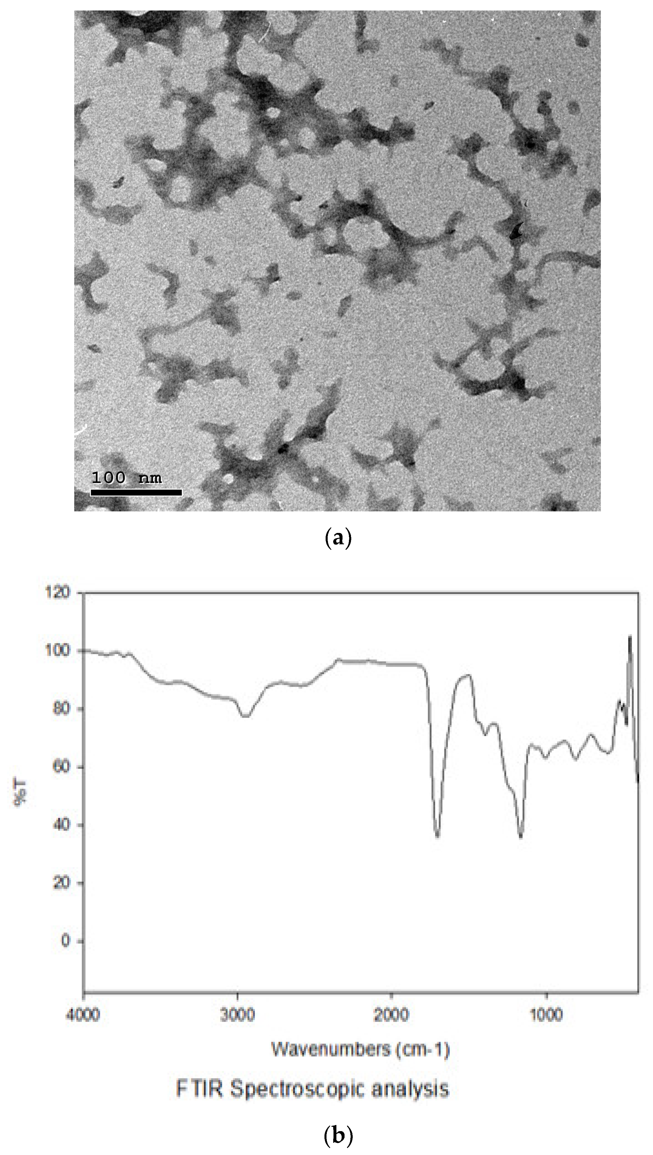 Animals 13 00775 g001