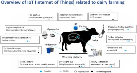 Animals 13 00779 g002