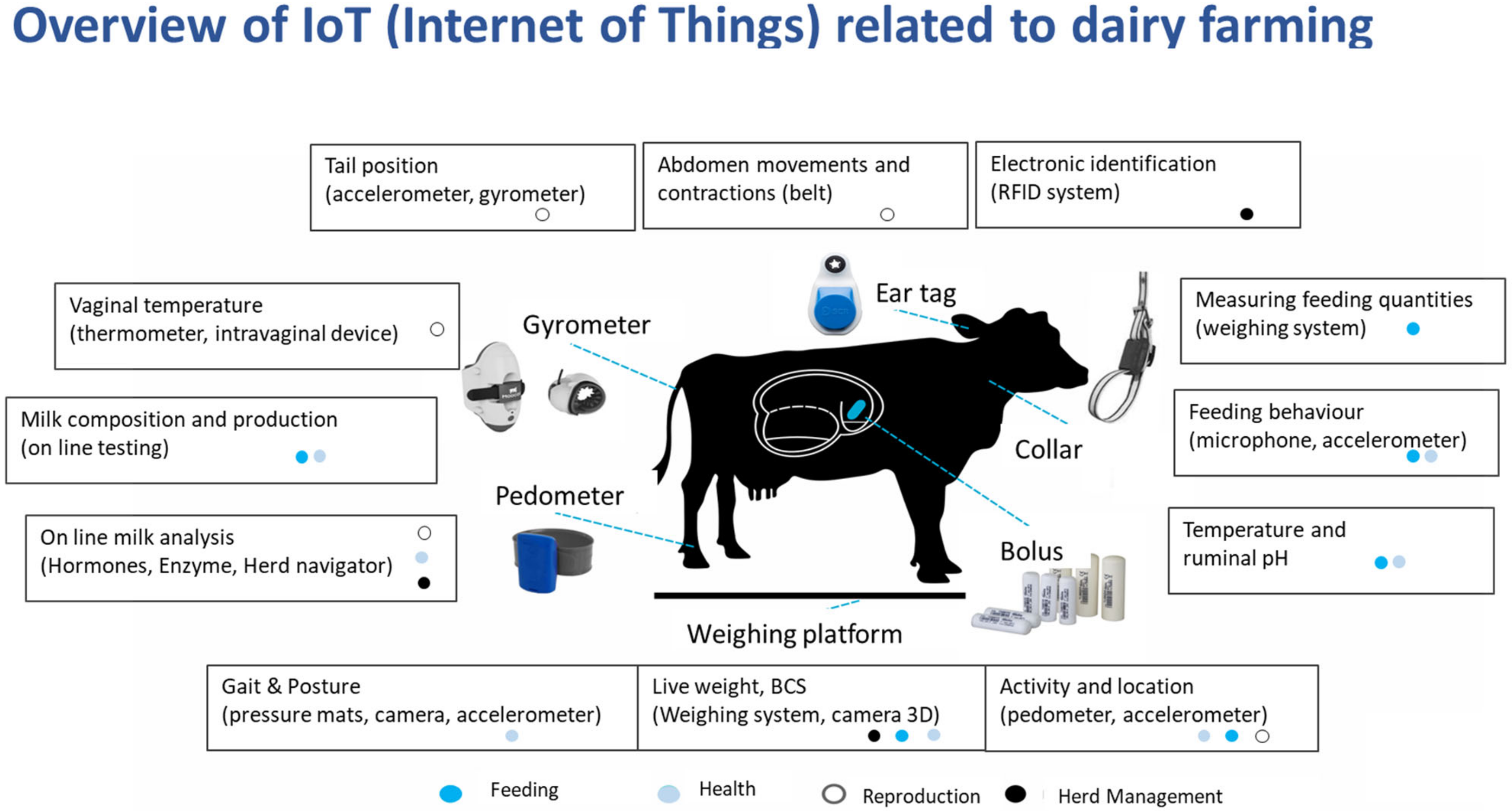 Animals 13 00779 g002