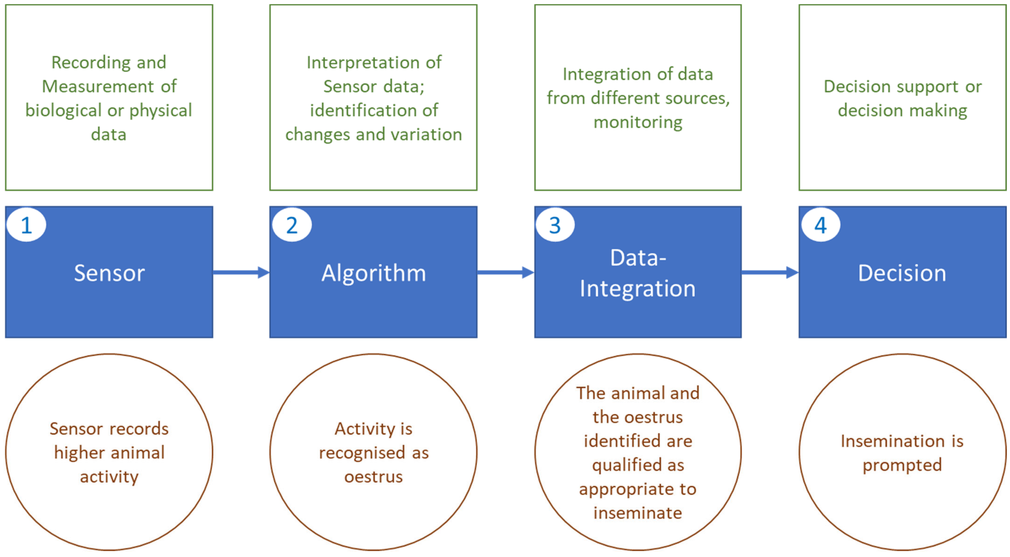 Animals 13 00779 g003