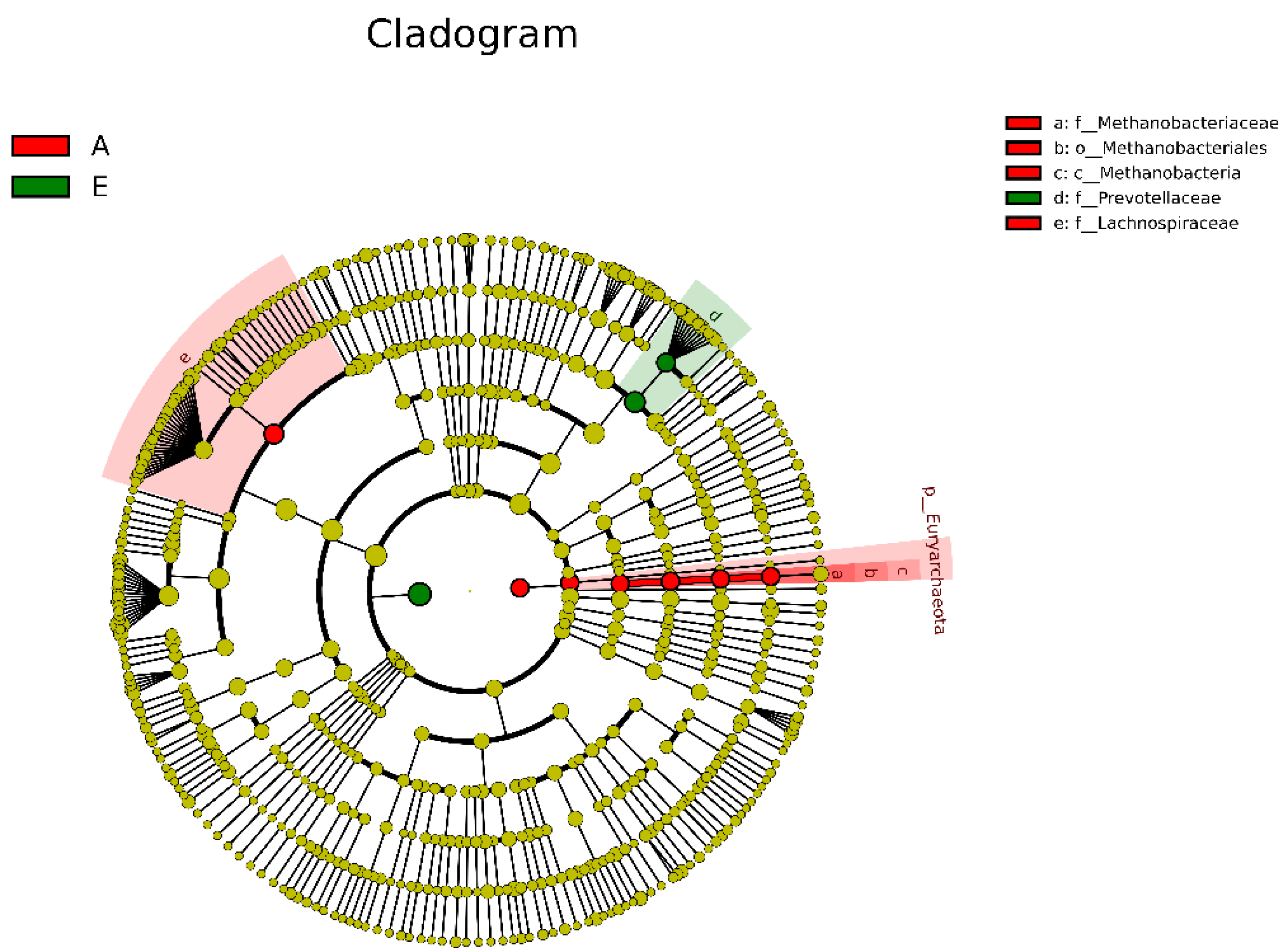 Animals 13 00782 g004