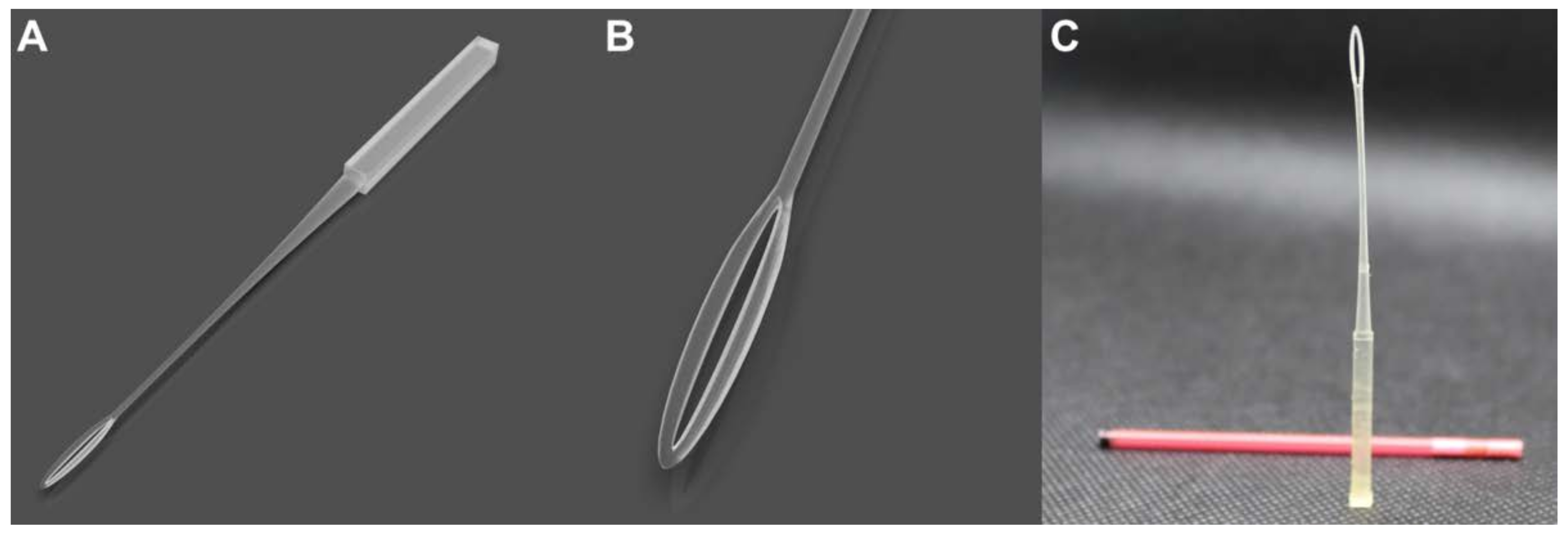 Animals 13 00791 g001