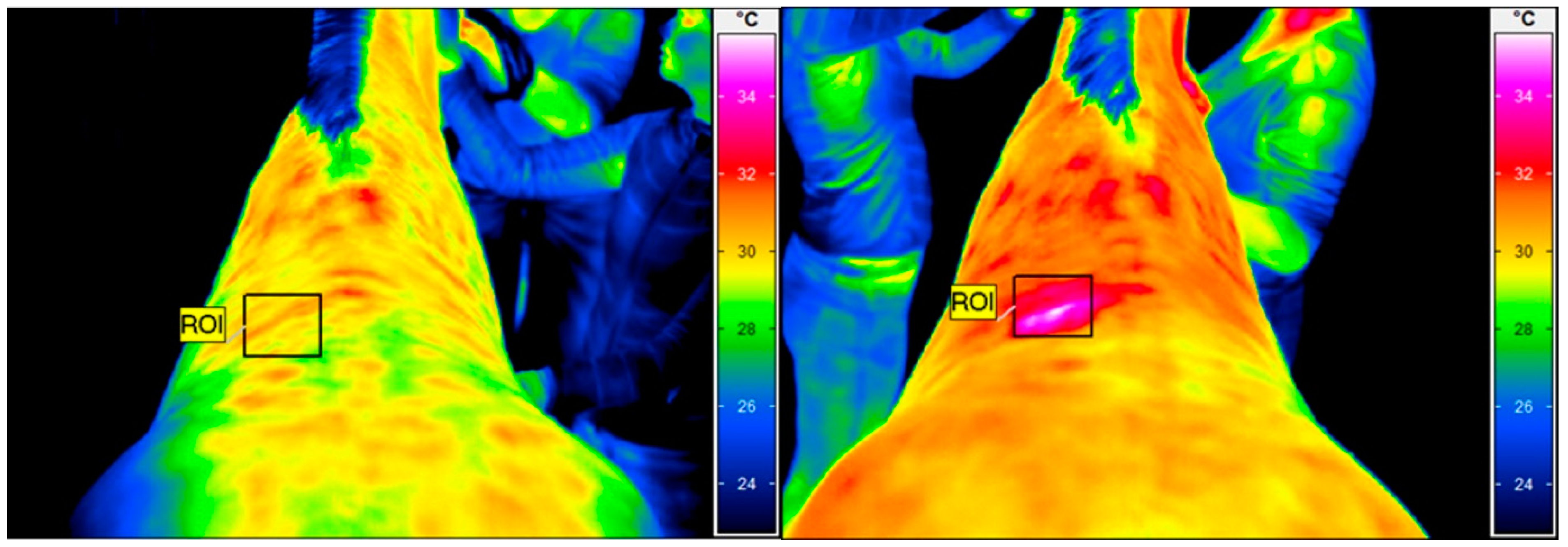 Animals 13 00794 g001