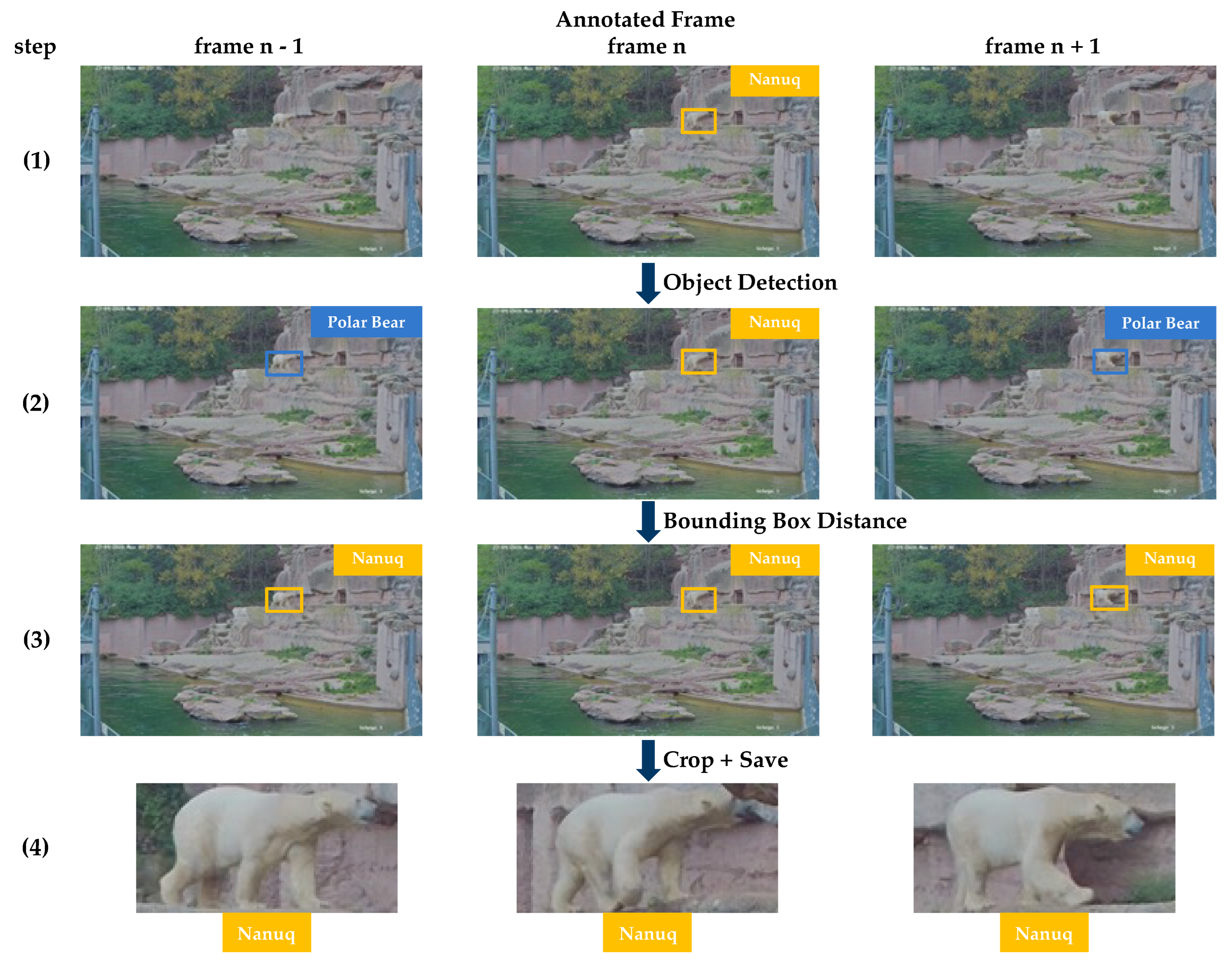 Animals 13 00801 g003