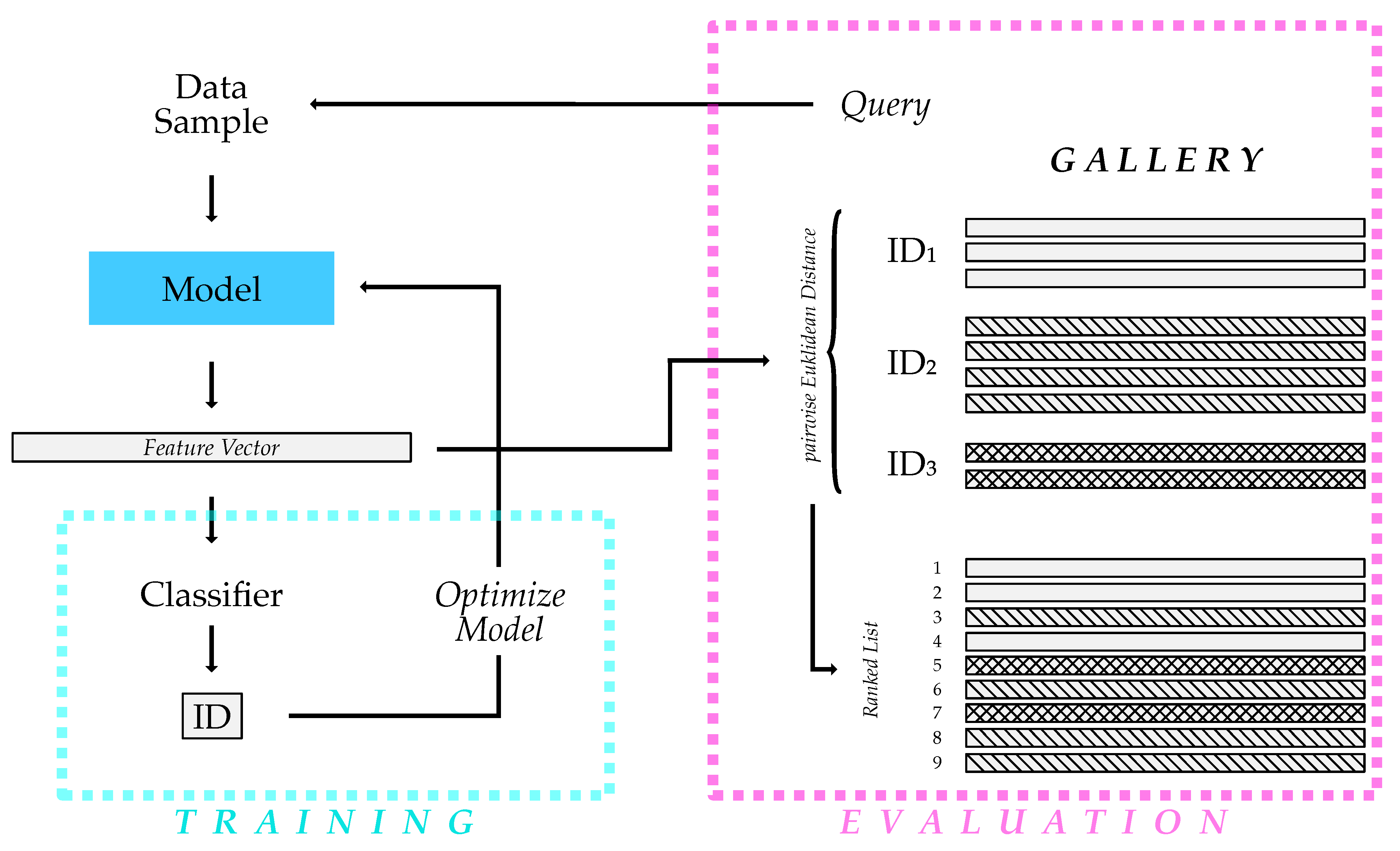 Animals 13 00801 g004