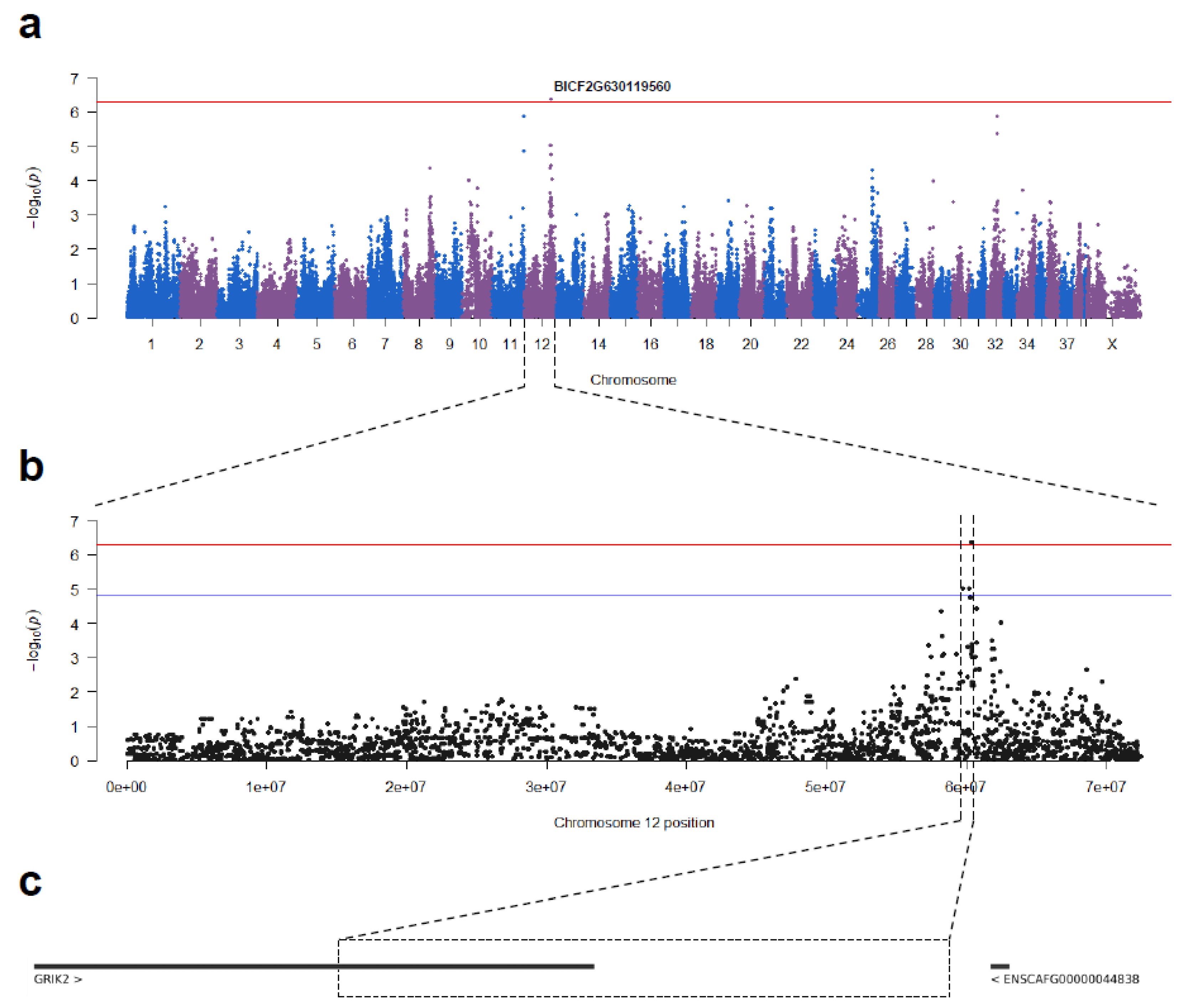 Animals 13 00810 g001