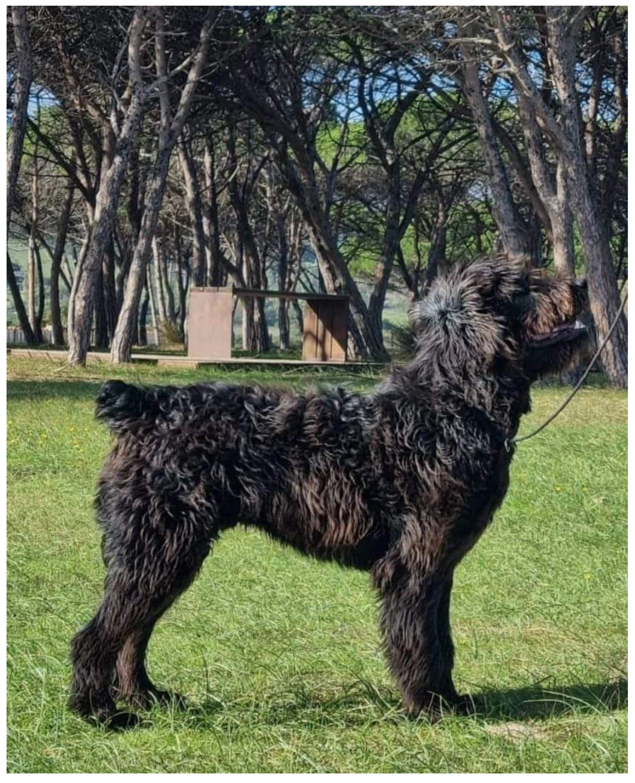 Animals 13 00818 g001