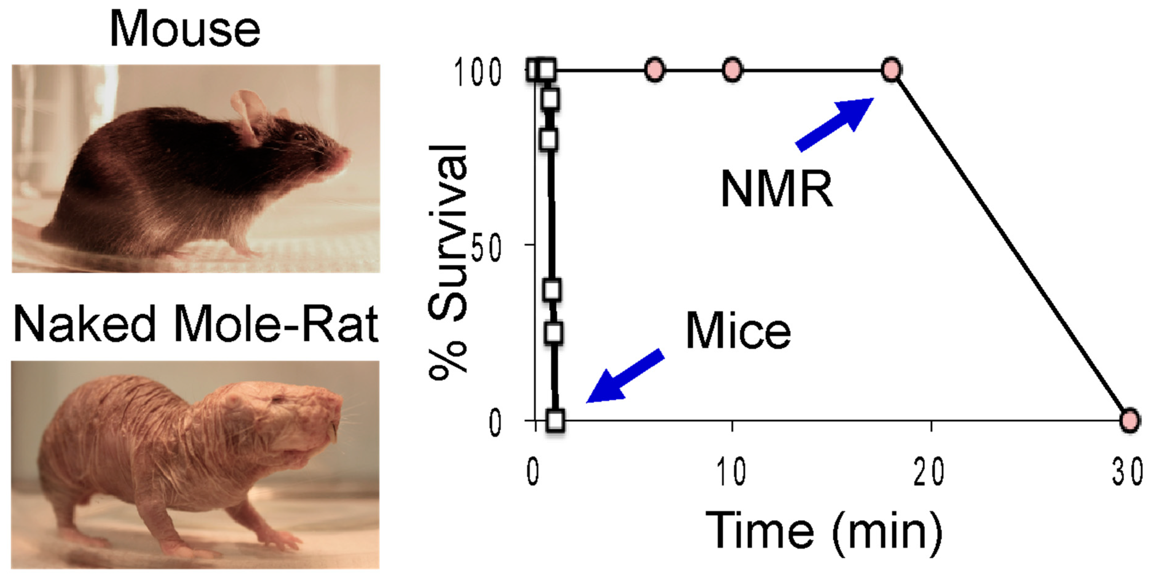 Animals 13 00819 g001