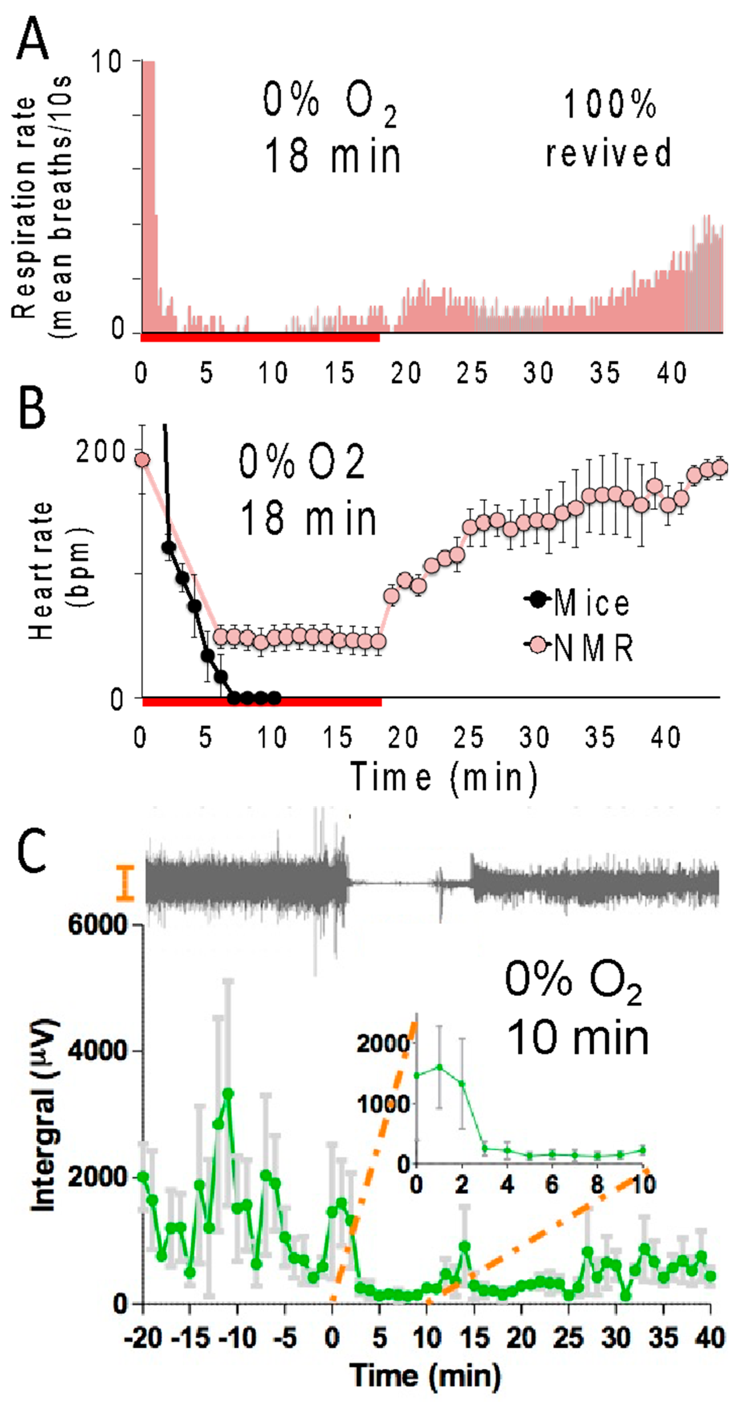 Animals 13 00819 g002